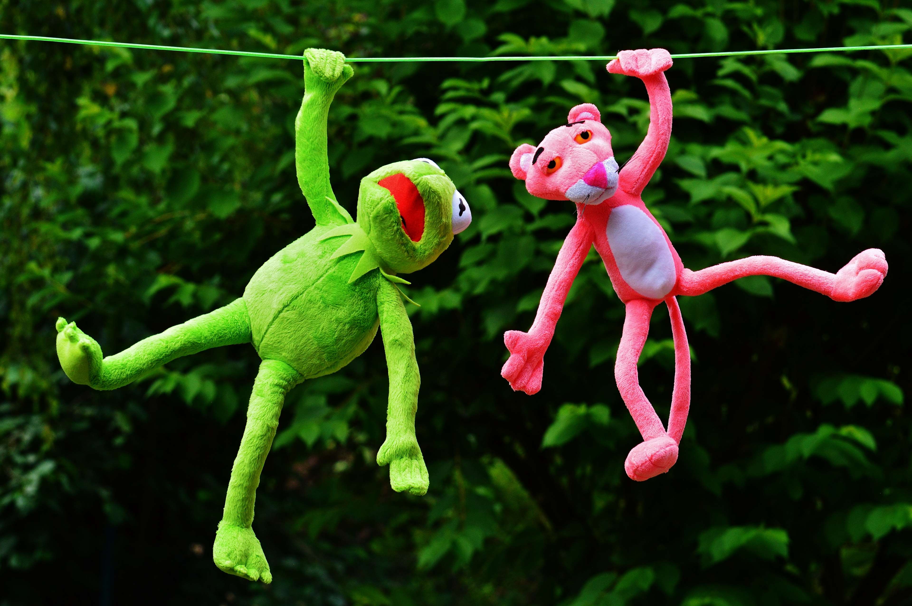 bright, color, flora, frog, fun, funny, hang out, kermit, nature, outdoors, panther, play, plush, plush toys, stuffed animal, the pink panther, toys 4k wallpaper Gallery HD Wallpaper