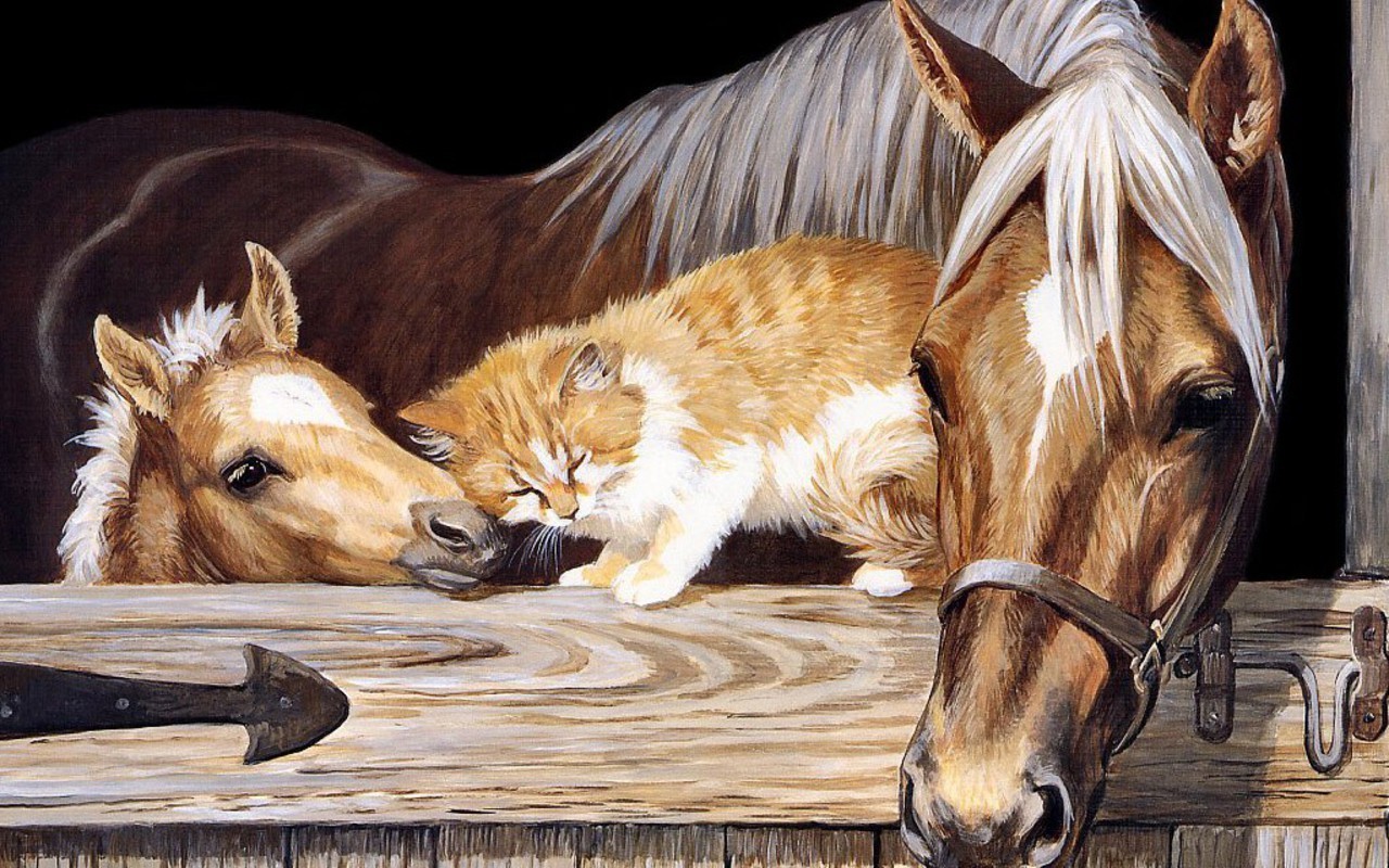 Beautiful Horse