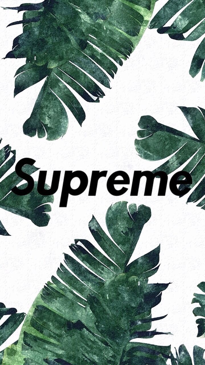 Supreme uploaded by ιreee