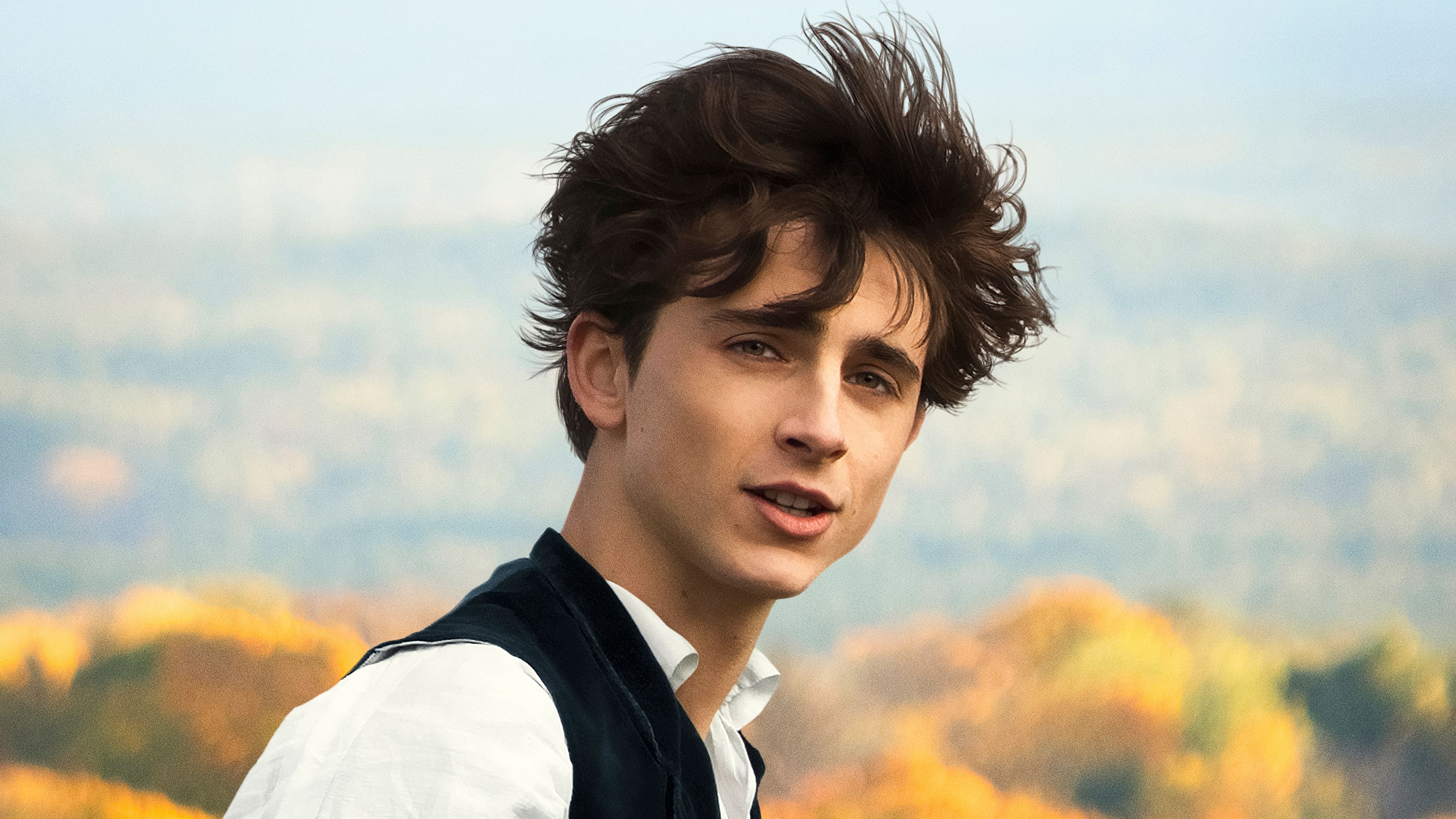 Timothee Chalamet PC Wallpapers - Wallpaper Cave