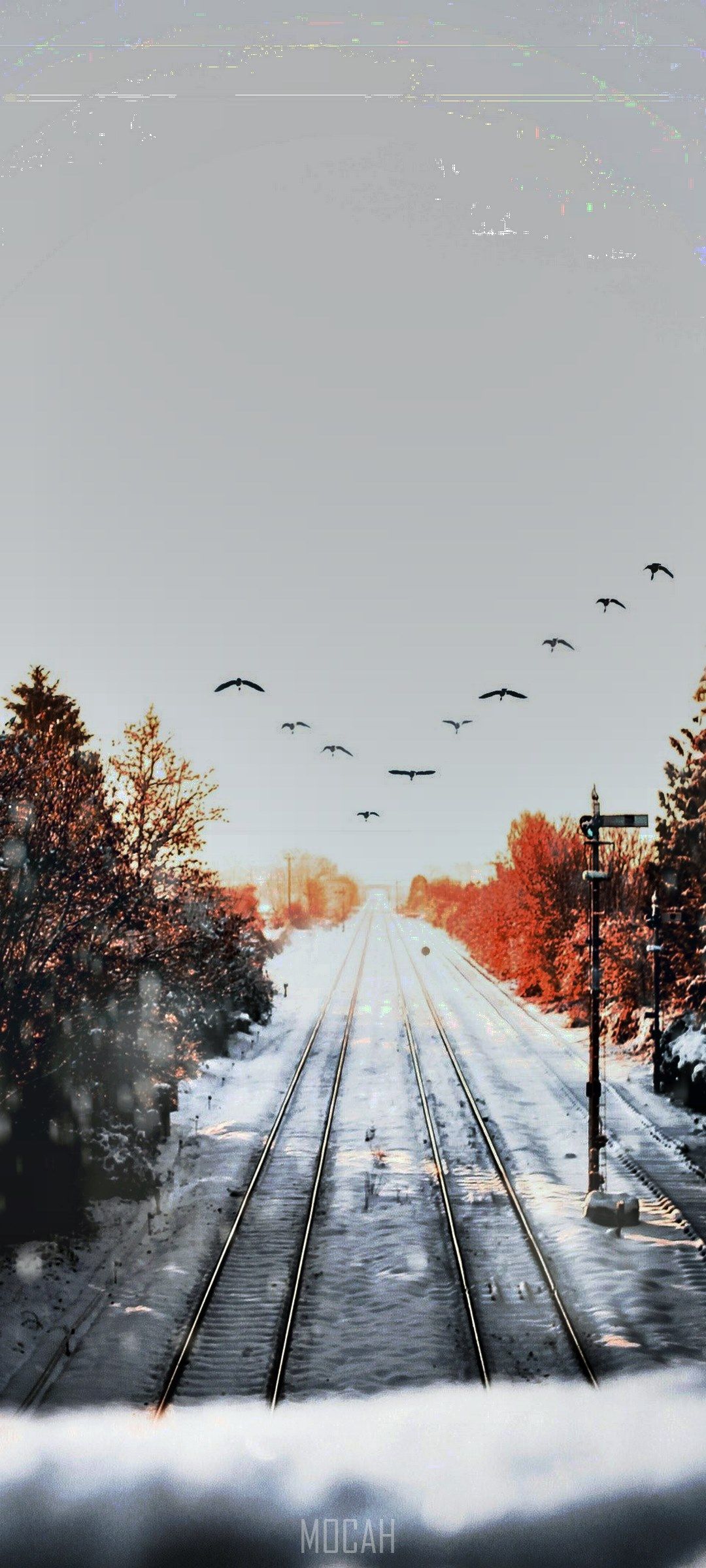 heading home for the winter, Samsung Galaxy S20 FE 5G wallpaper download, 1080x2400. Mocah HD Wallpaper