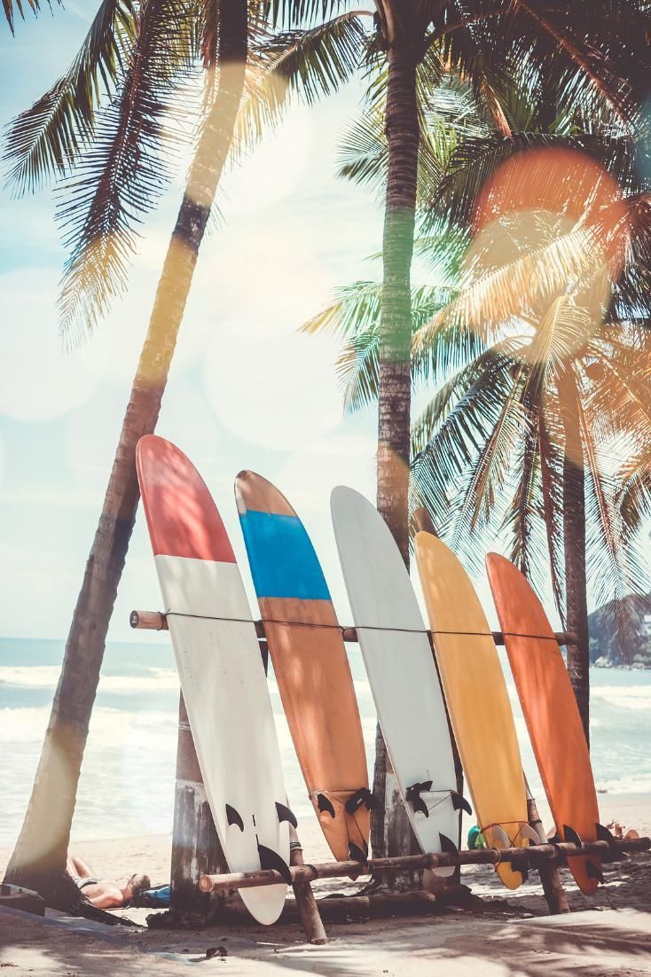 Costa Rica's Caribbean Coast: Tortuguero Puerto Viejo Days Compared to the Pacific Coast, the Caribbean side. Beach wall collage, Surfing, Beach aesthetic