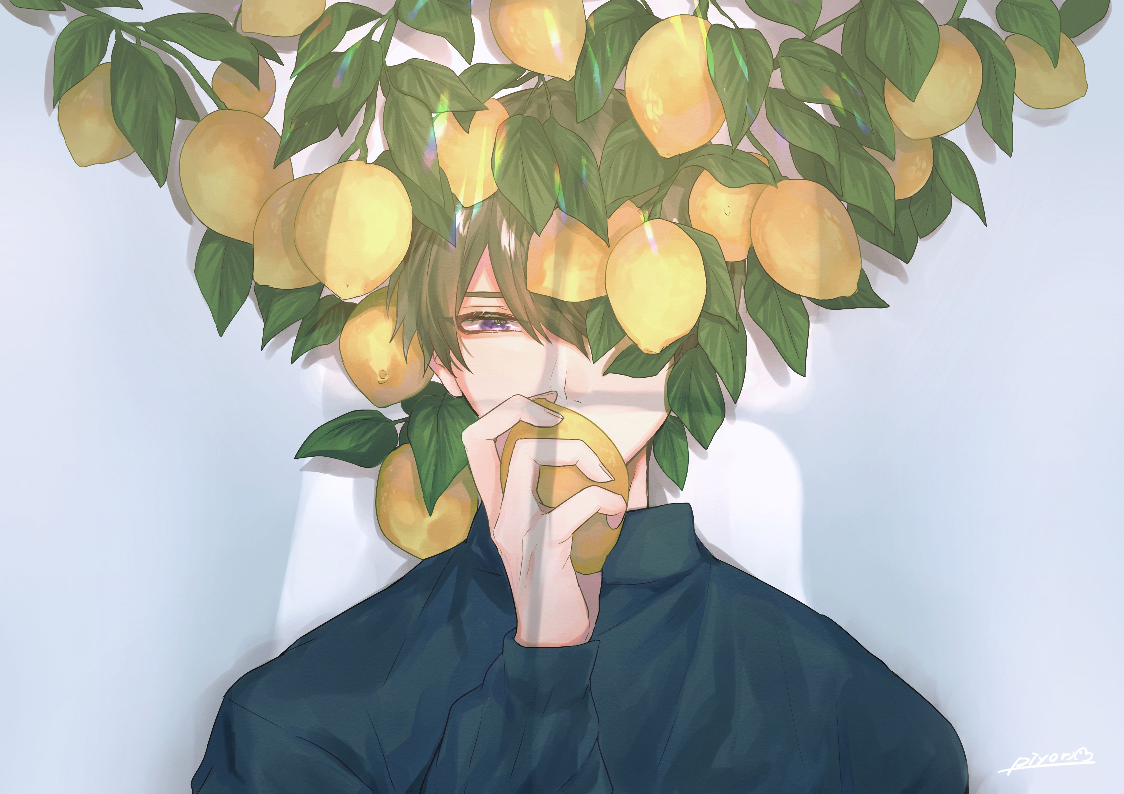 Wallpaper, original characters, anime boys, lemons 3858x2728
