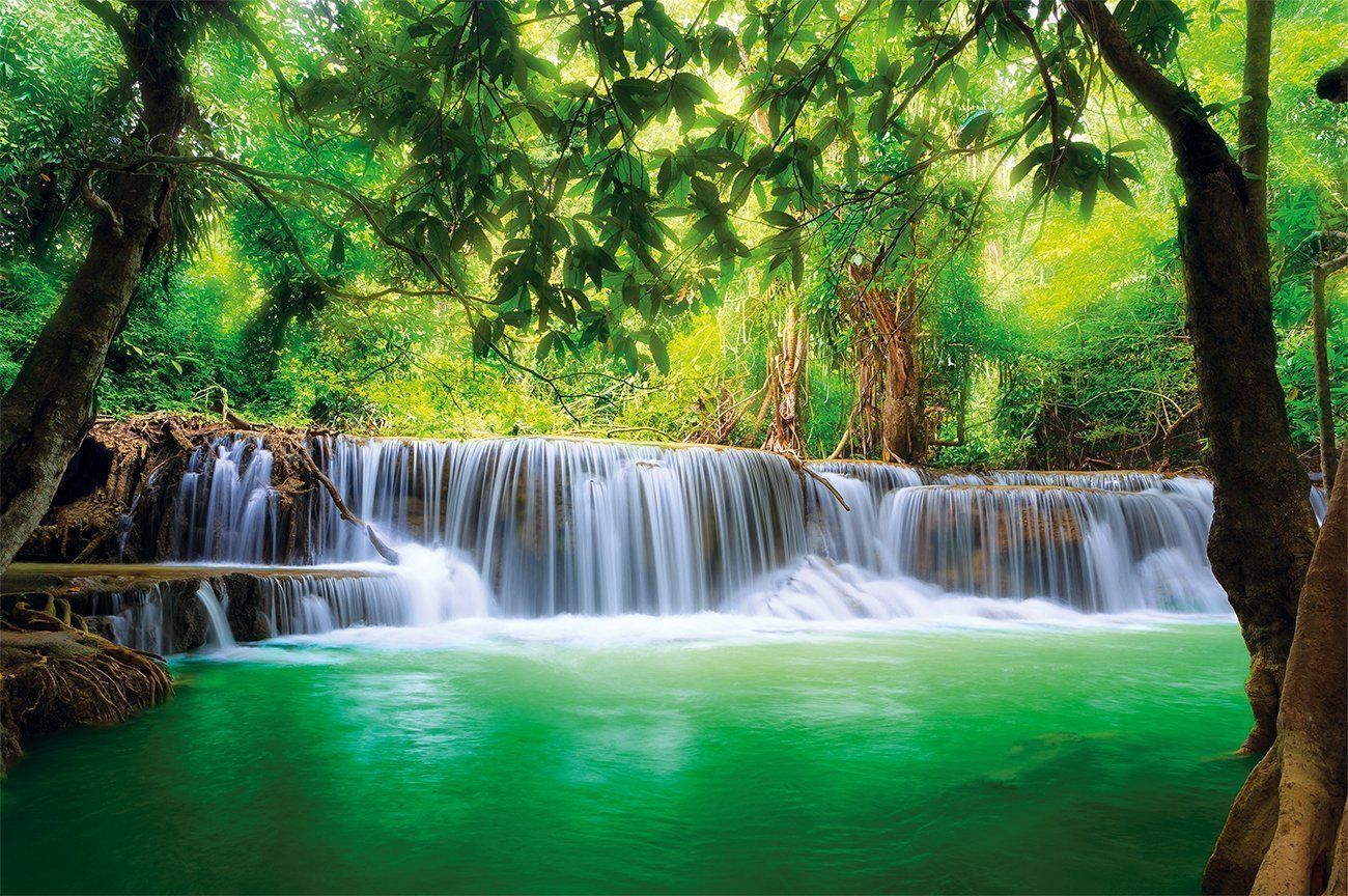 Jungle Paradise Wallpaper Free Jungle Paradise Background