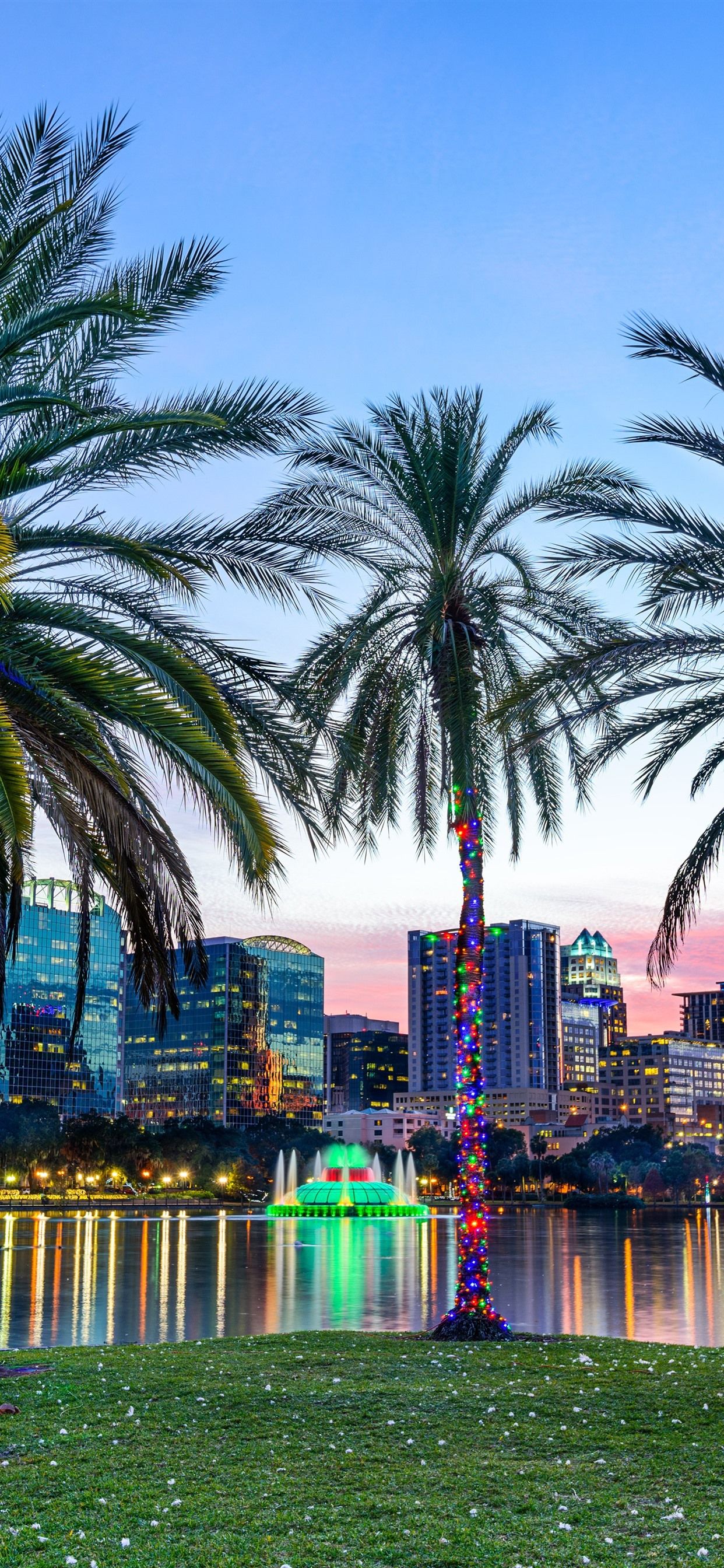 iPhone Wallpaper Lake Eola Park, Orlando, Palm Trees, Orlando HD Wallpaper