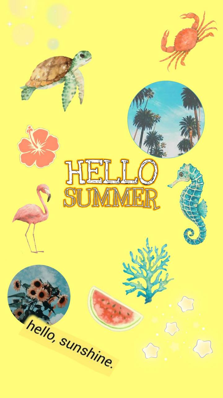 Hello Summer wallpaper