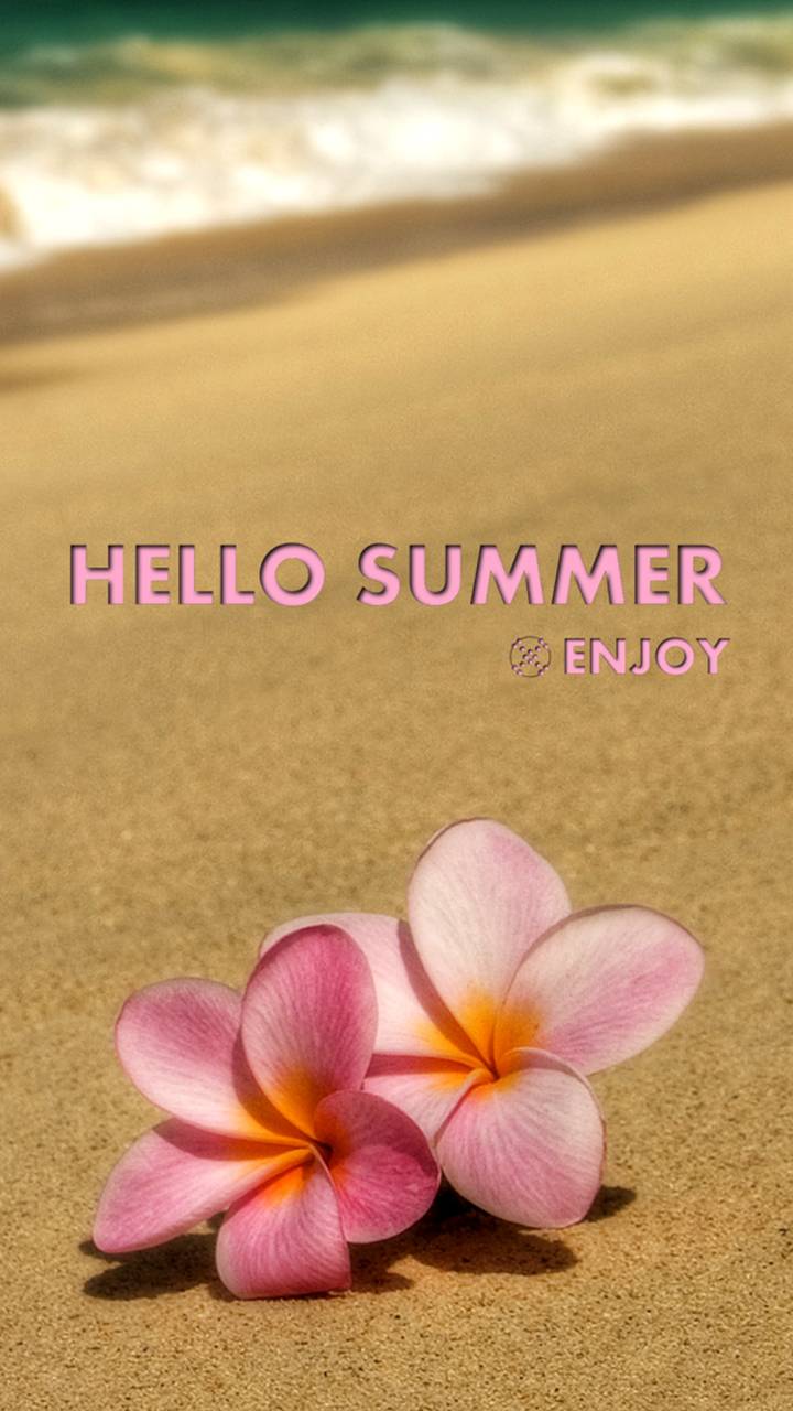 Hello Summer wallpaper