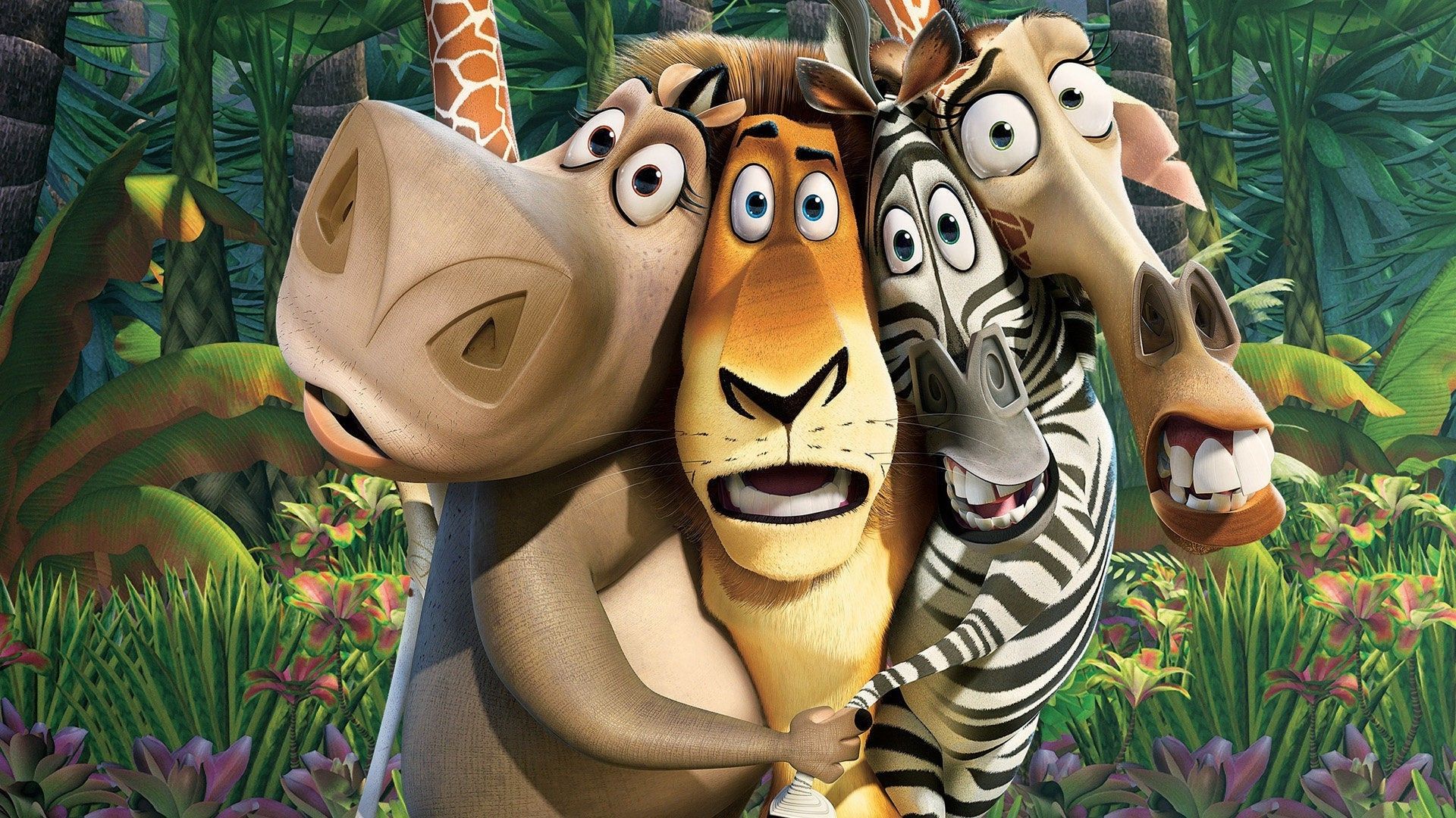 movies, Madagascar (movie) Wallpaper HD / Desktop and Mobile Background