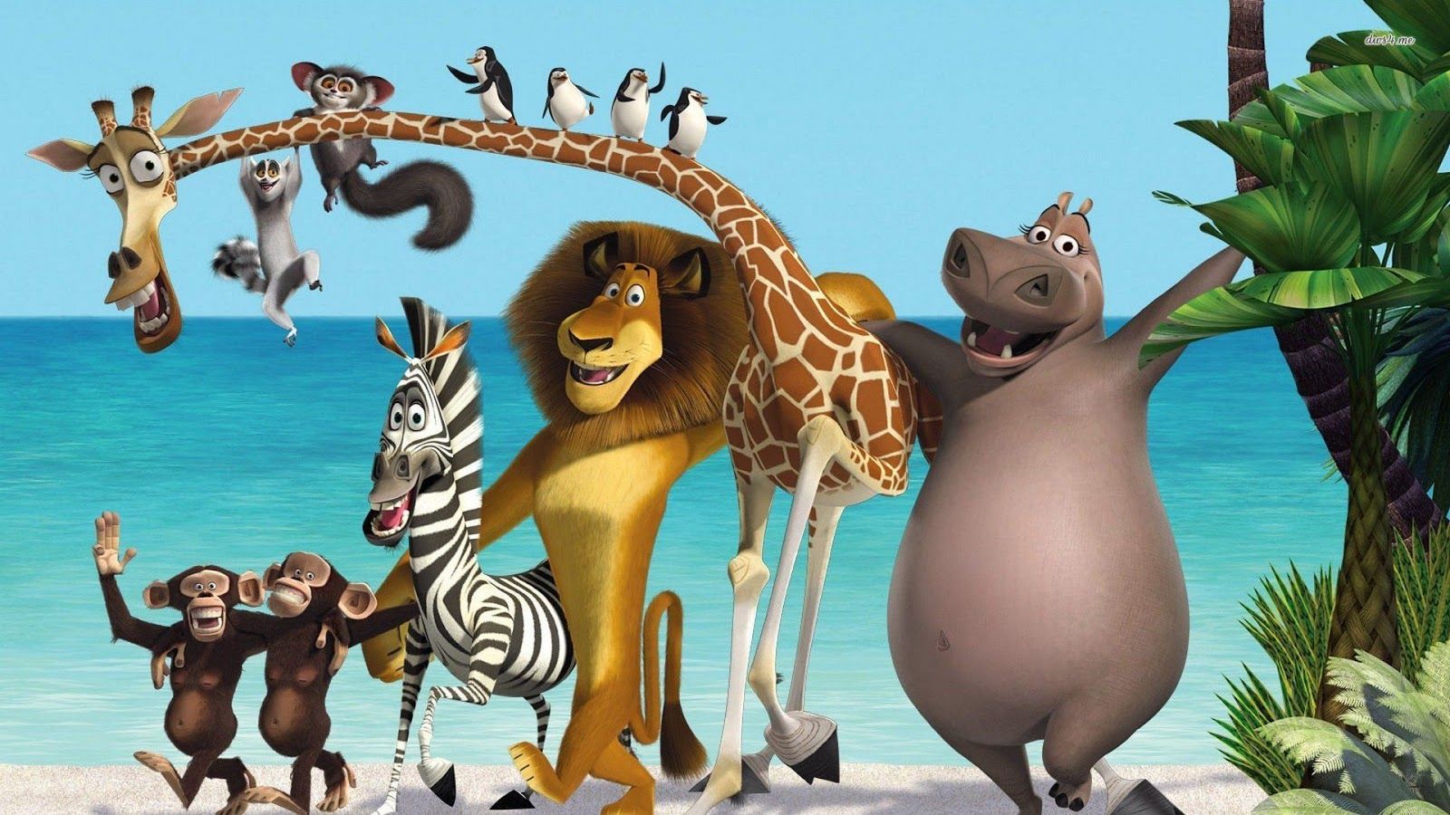 Greath View Cartoon Movie Scenery Of Madagascar Wallpaper Picture HD Image