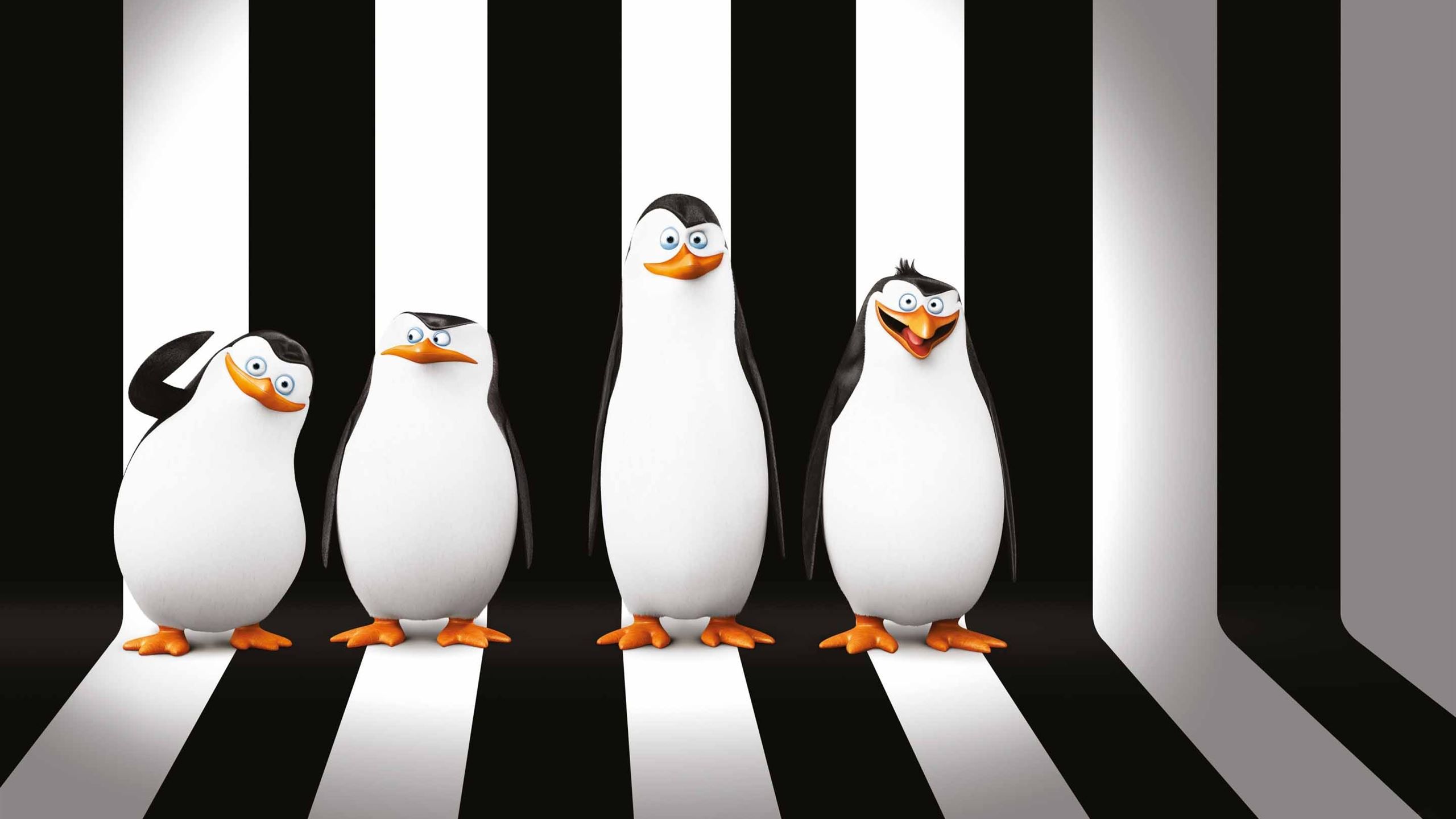 Penguins Of Madagascar Movie Mac Wallpaper Download