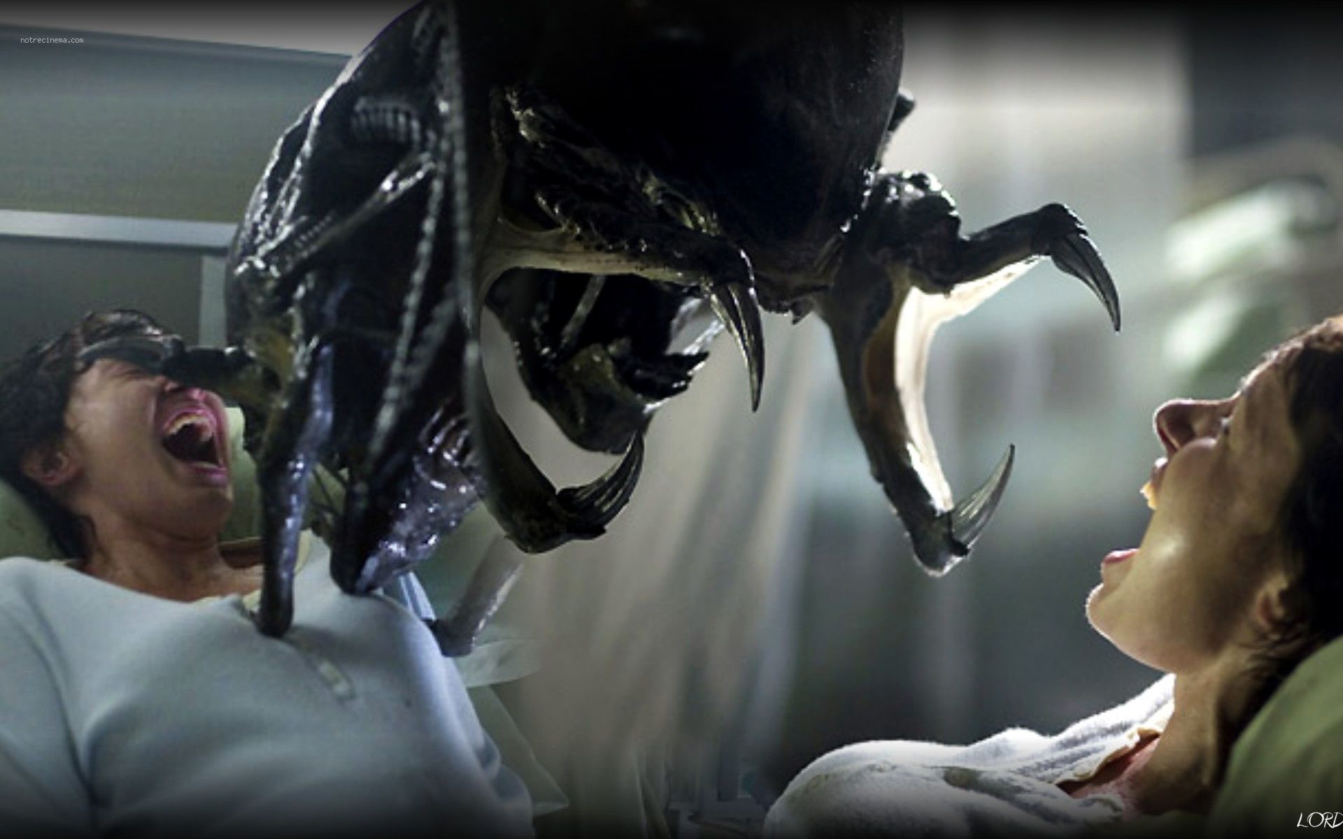 SKY DOT alien aliens vs predator requiem predator wallpaper