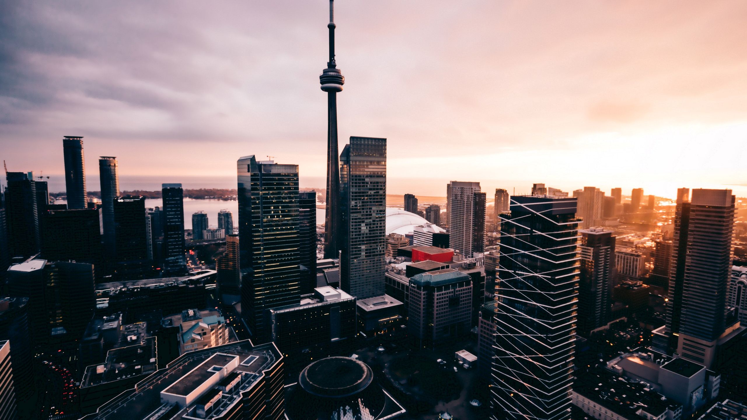 Download wallpaper: Skyscraper from Toronto 2560x1440