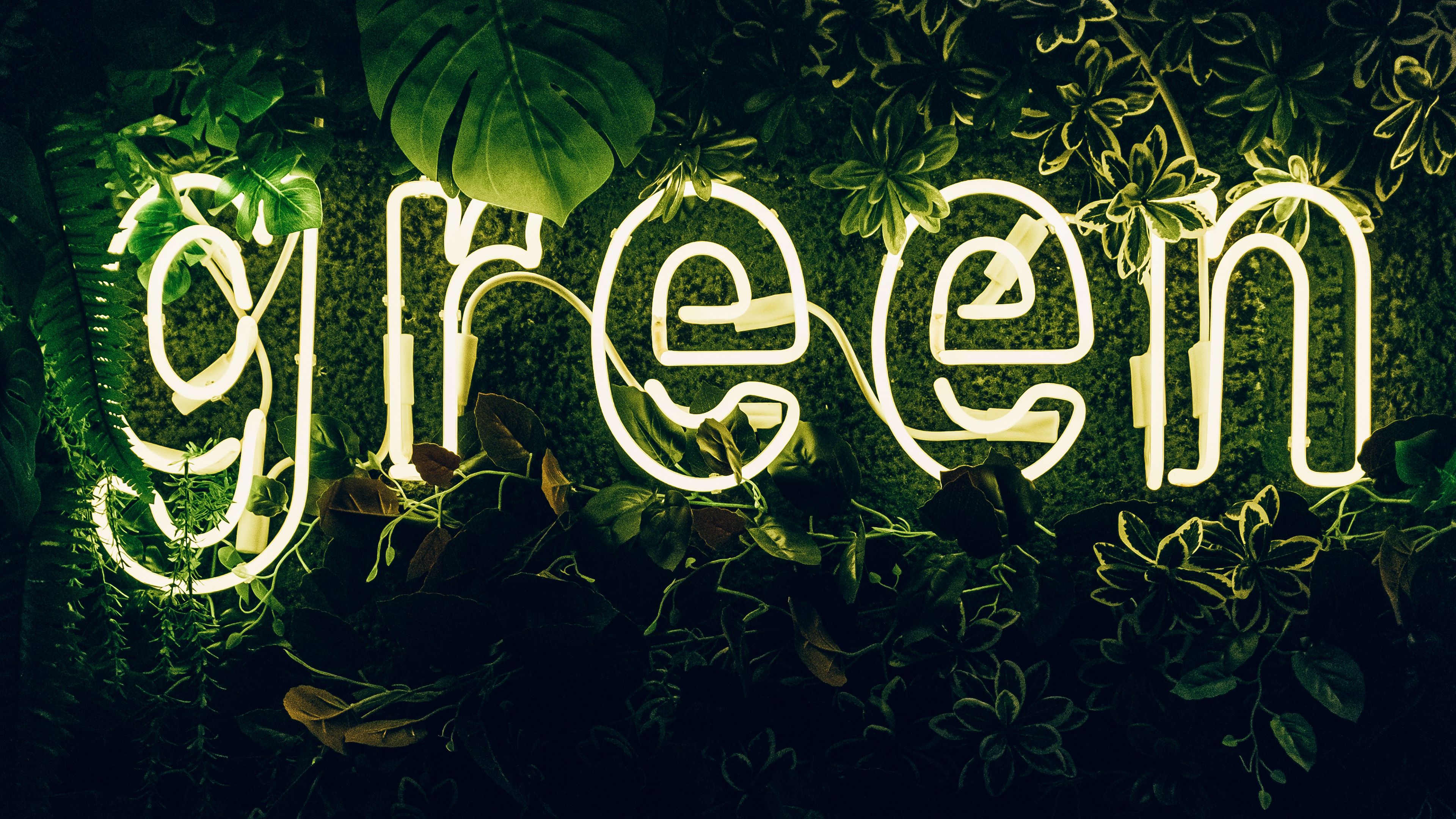 Green, Neon sign, Plant, Illuminated, Leaves, 4k Free deskk wallpaper, Ultra HD