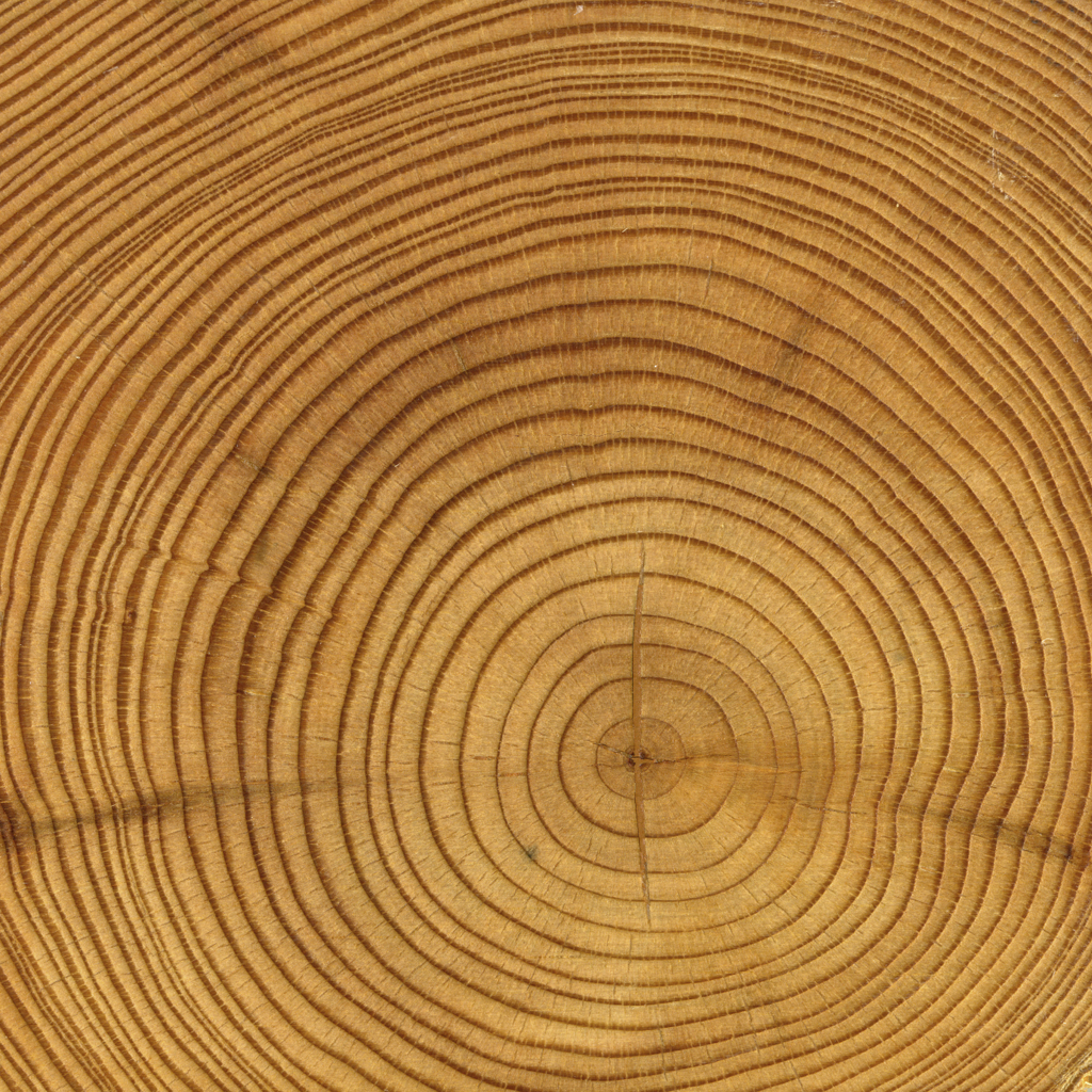 official iPhone wallpaper