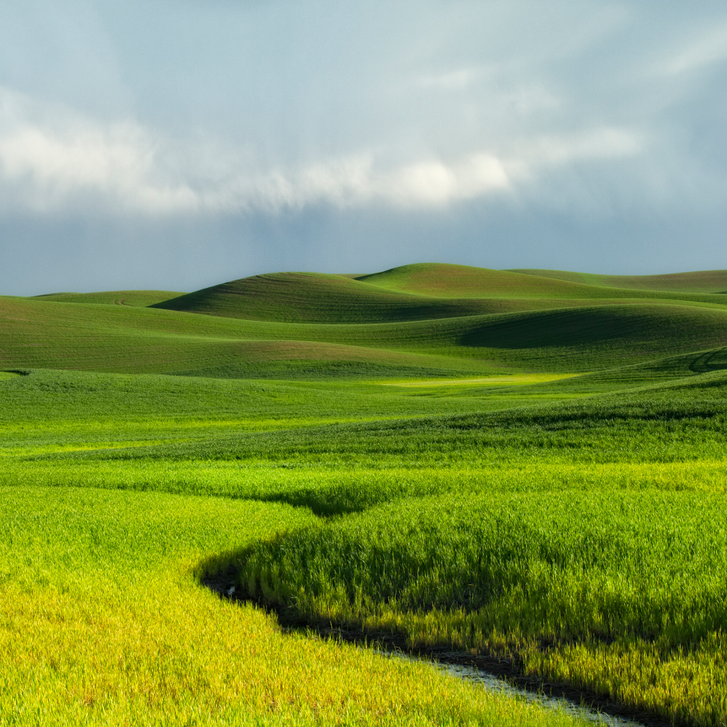 official iPhone wallpaper