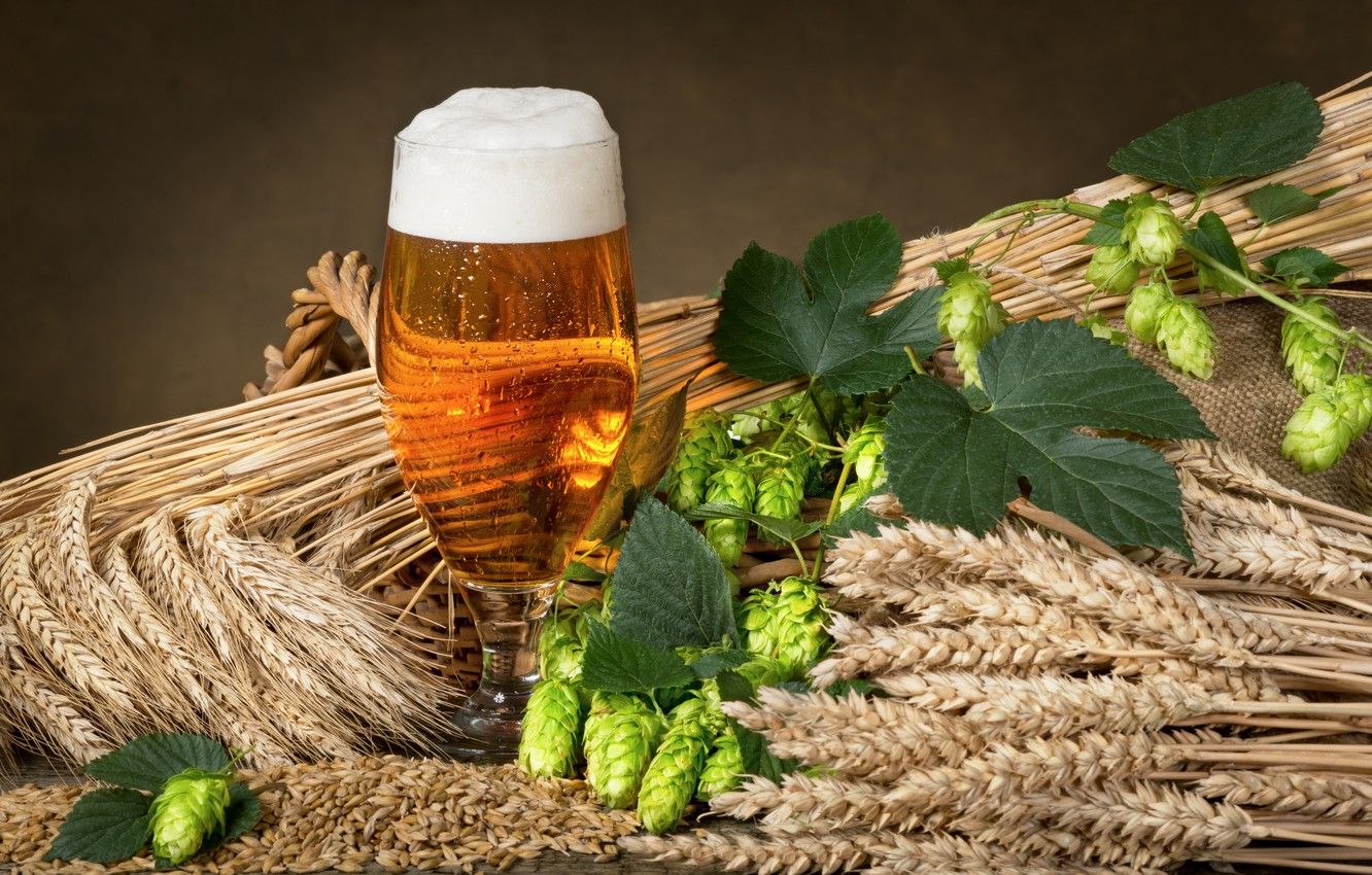 Millet Wallpapers - Wallpaper Cave