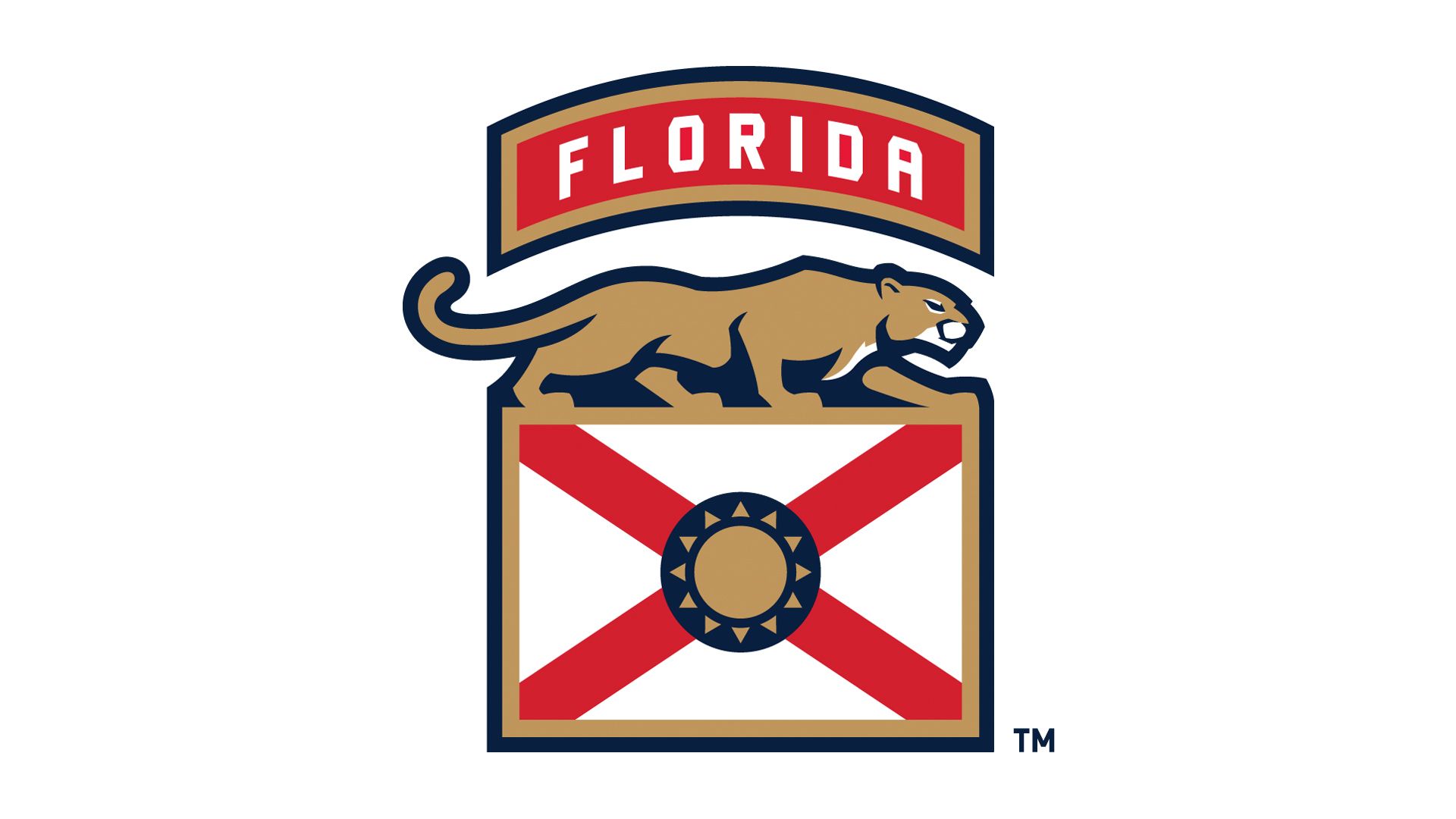 Florida flag HD wallpapers  Pxfuel