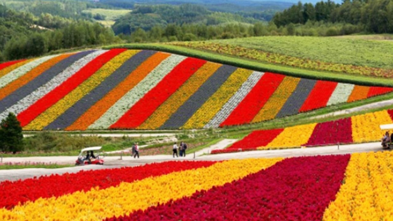 Unreal Places In Hokkaido To Visit For Less Than $10 After Splurging On Airfares
