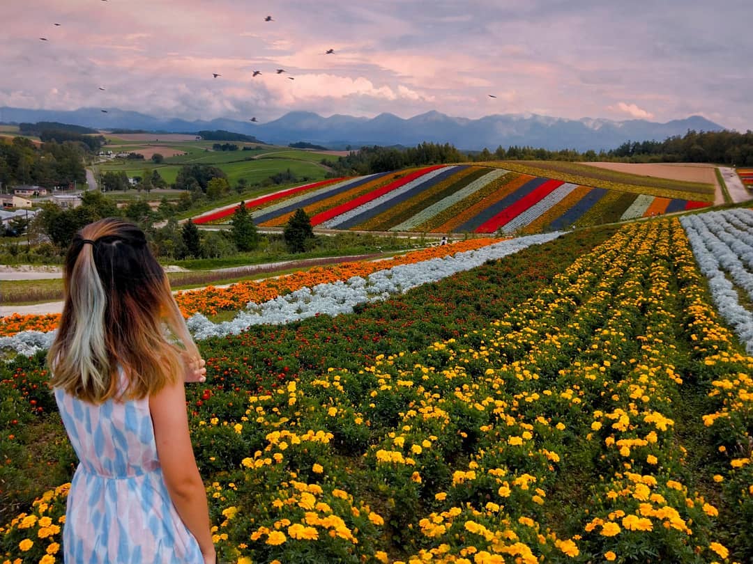 Overwhelming Scale In Hokkaido! Shikisai No Oka. BIKKURI JAPAN Most Entertaining Japan Travel Guides