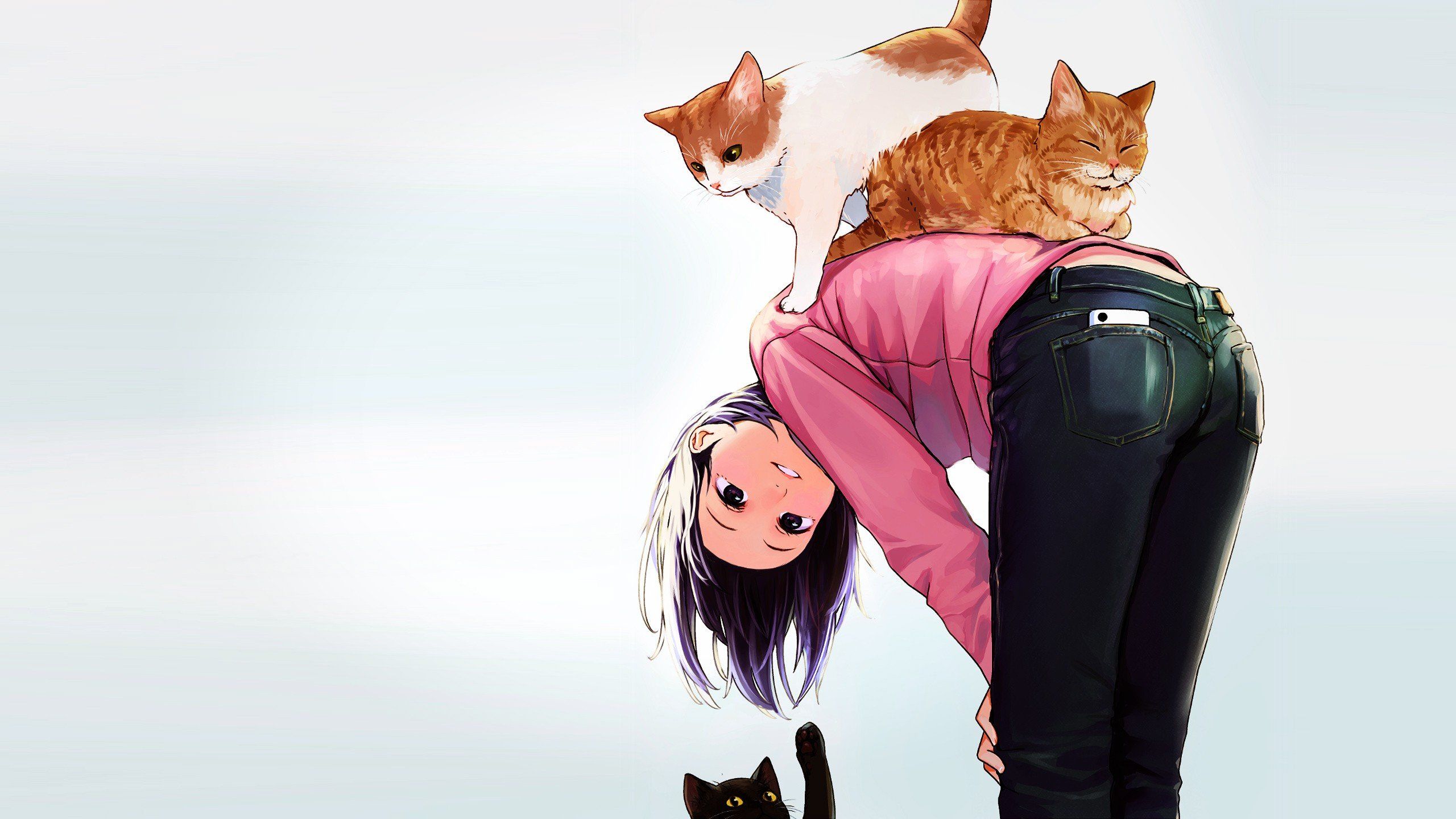 brunette anime girls anime cat wallpaper
