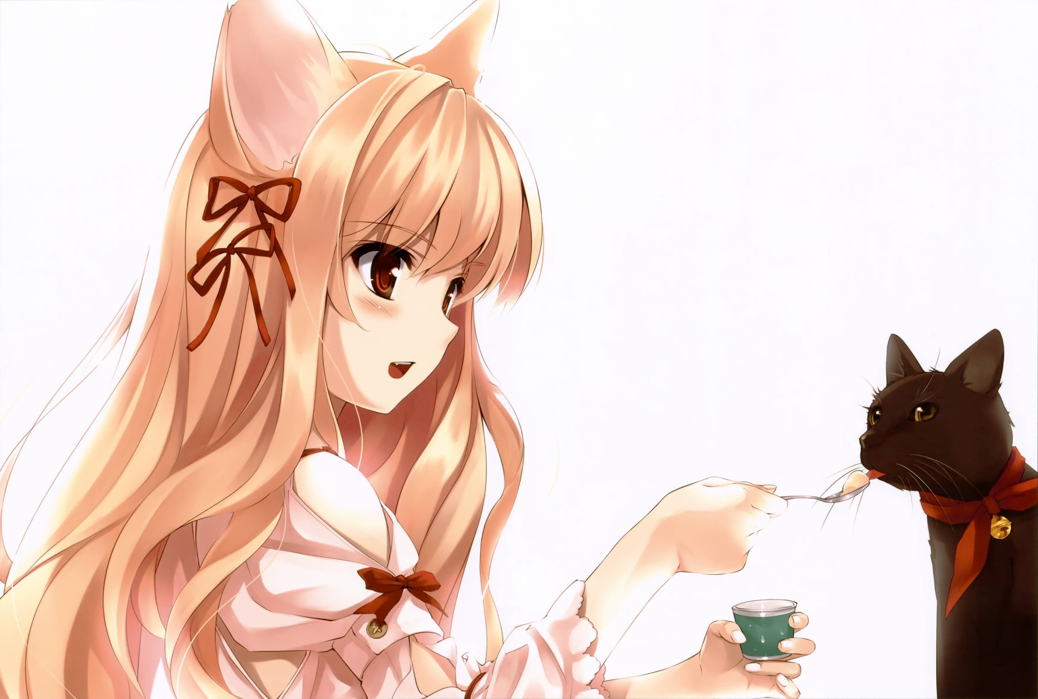 Anime Cat Girl Wallpaper Free Anime Cat Girl Background