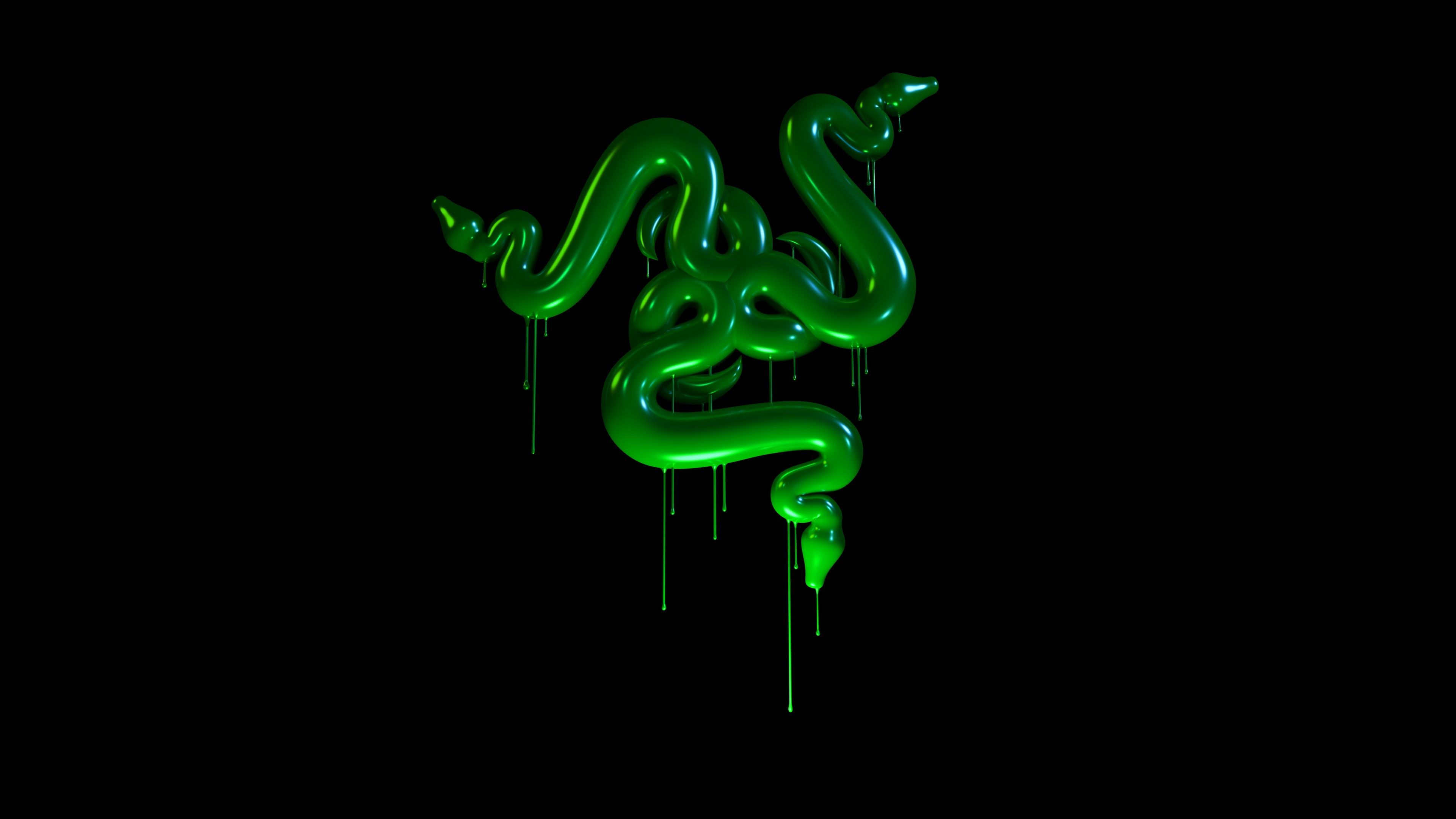 Razer Logo Slime 4K