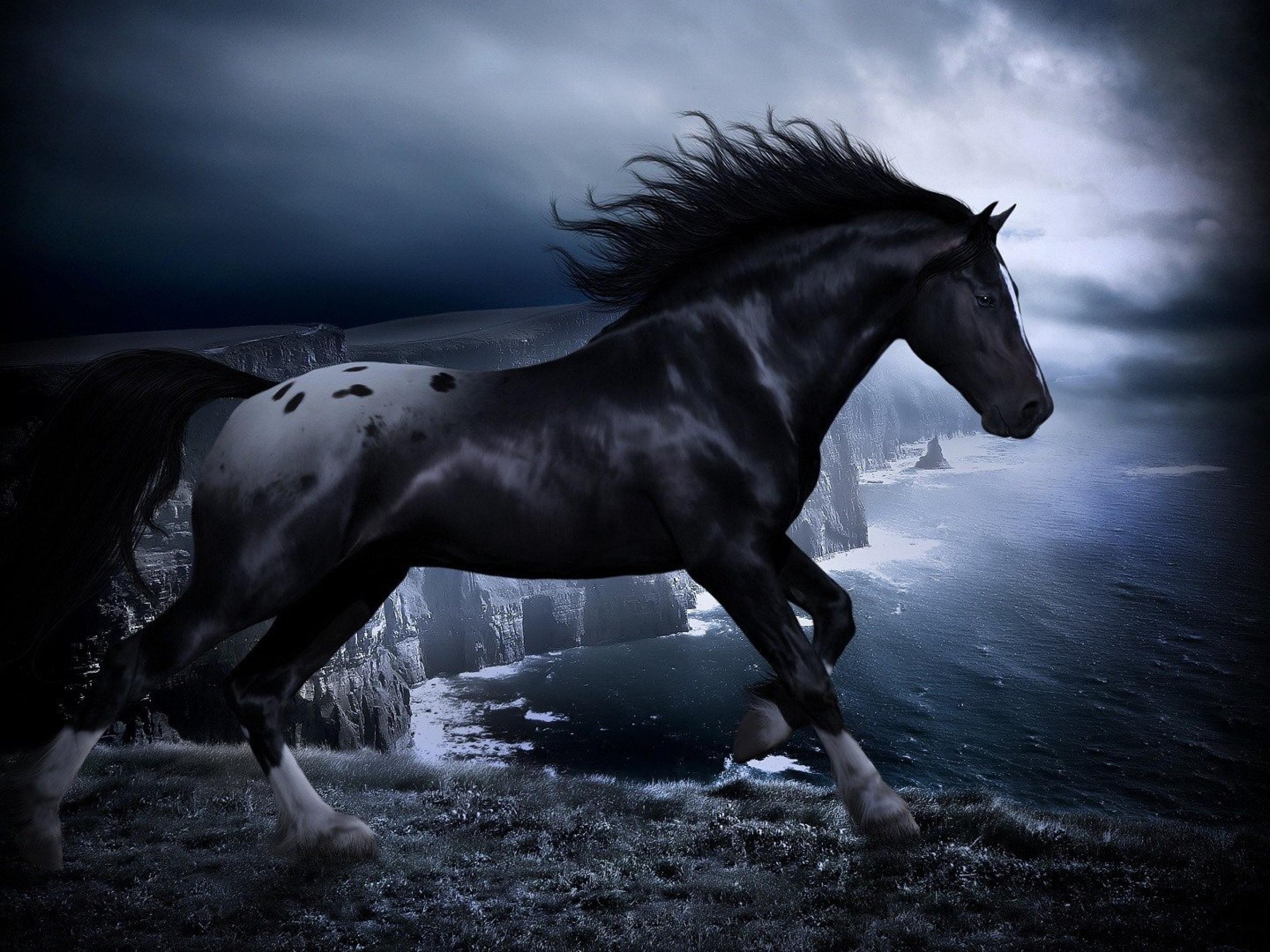 Black Horses Wallpaper HD