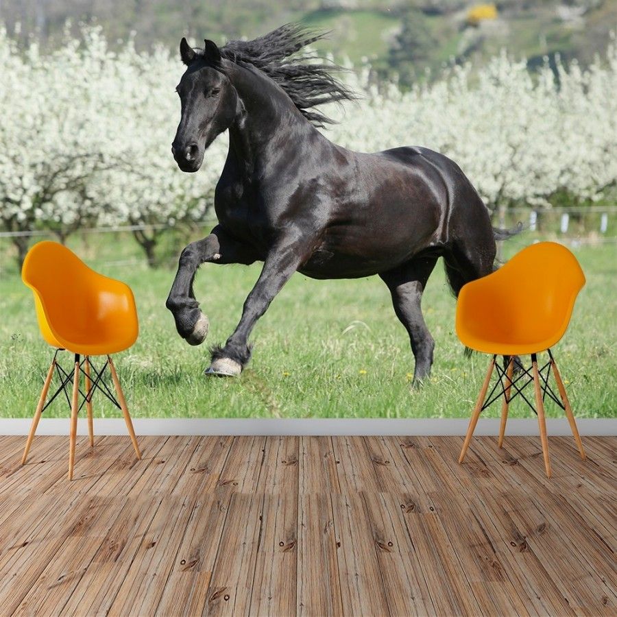 Black Wild Horse Wallpaper