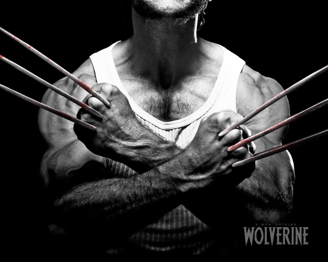 Free download Wolverine Hugh Jackman as Wolverine Wallpaper 19322491 [1280x1024] for your Desktop, Mobile & Tablet. Explore Wolverine Hugh Jackman Wallpaper 2015. Wolverine Hugh Jackman Wallpaper 2015, Hugh Jackman Wolverine Wallpaper, Hugh