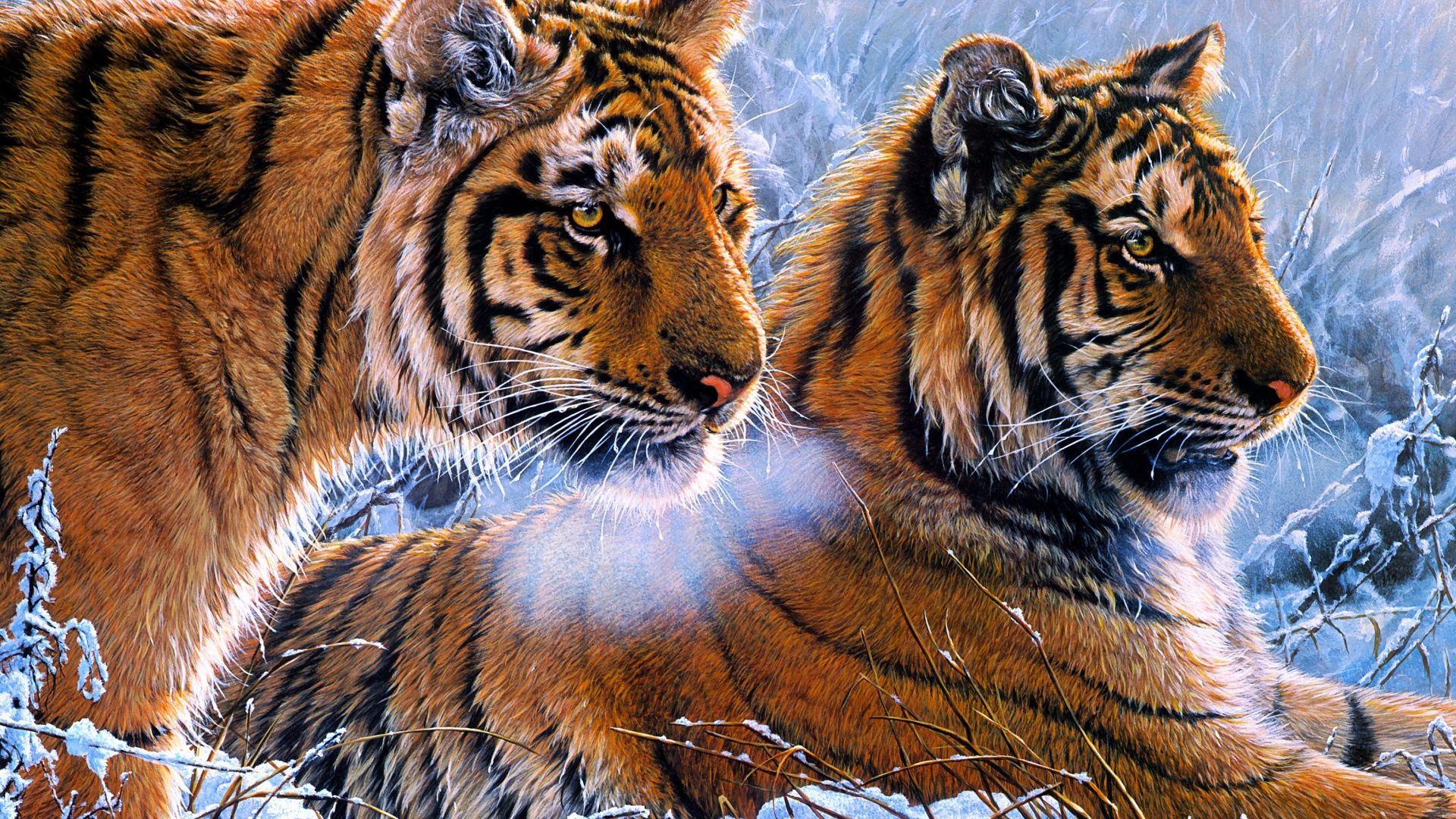 Tigers HD PS4 Wallpaper