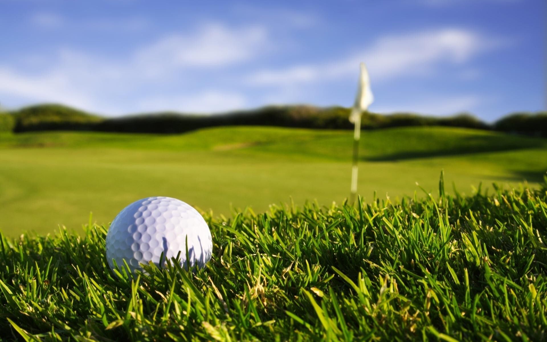 Golf Ball in Green Grass Pics