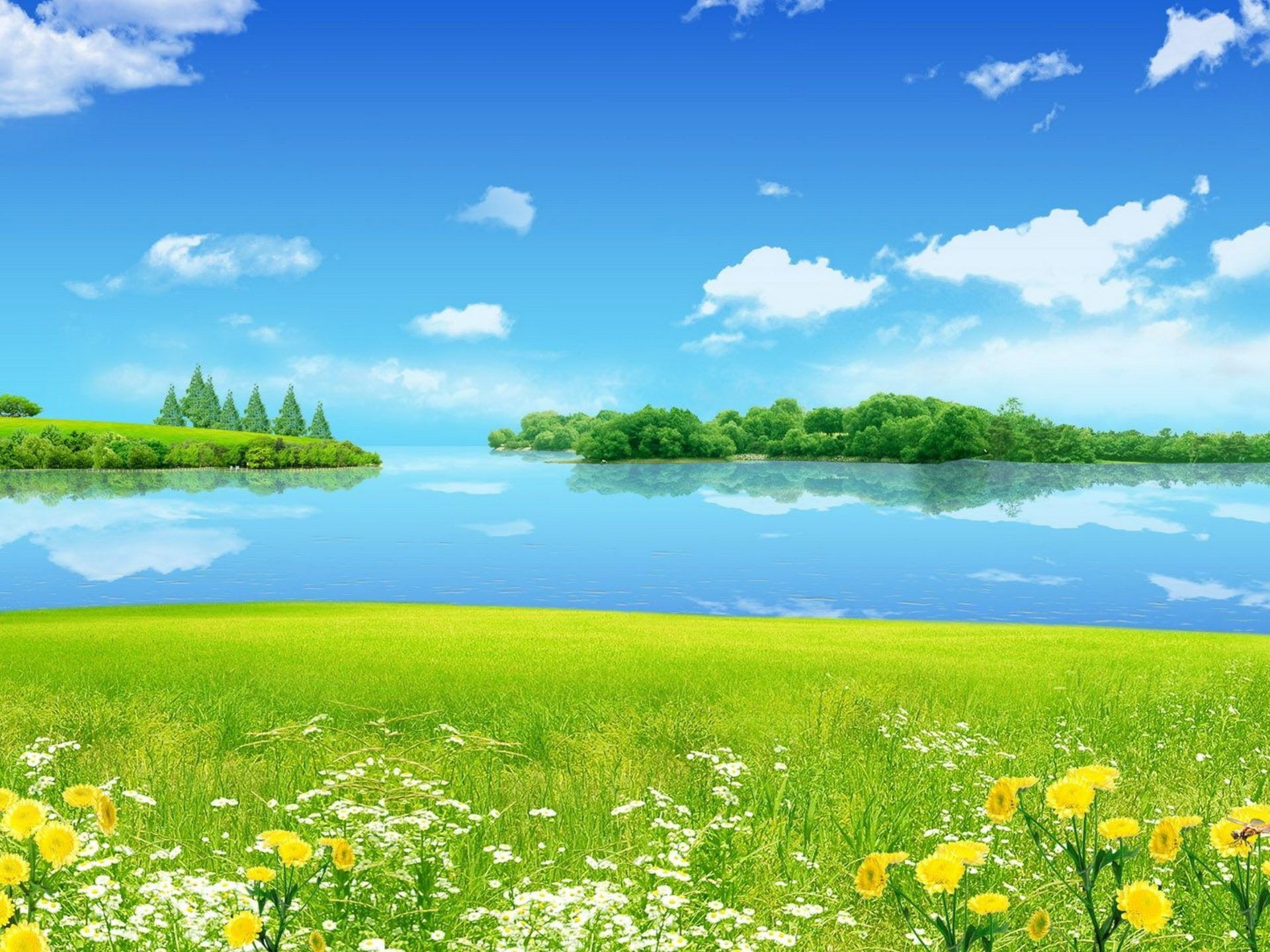 Summer Landscape Meadow With Green Grass Wild Flowers Blue Sky Reflection In Lake Desktop HD Wallpaper For Mobile Phones Tablet And Pc, Wallpaper13.com
