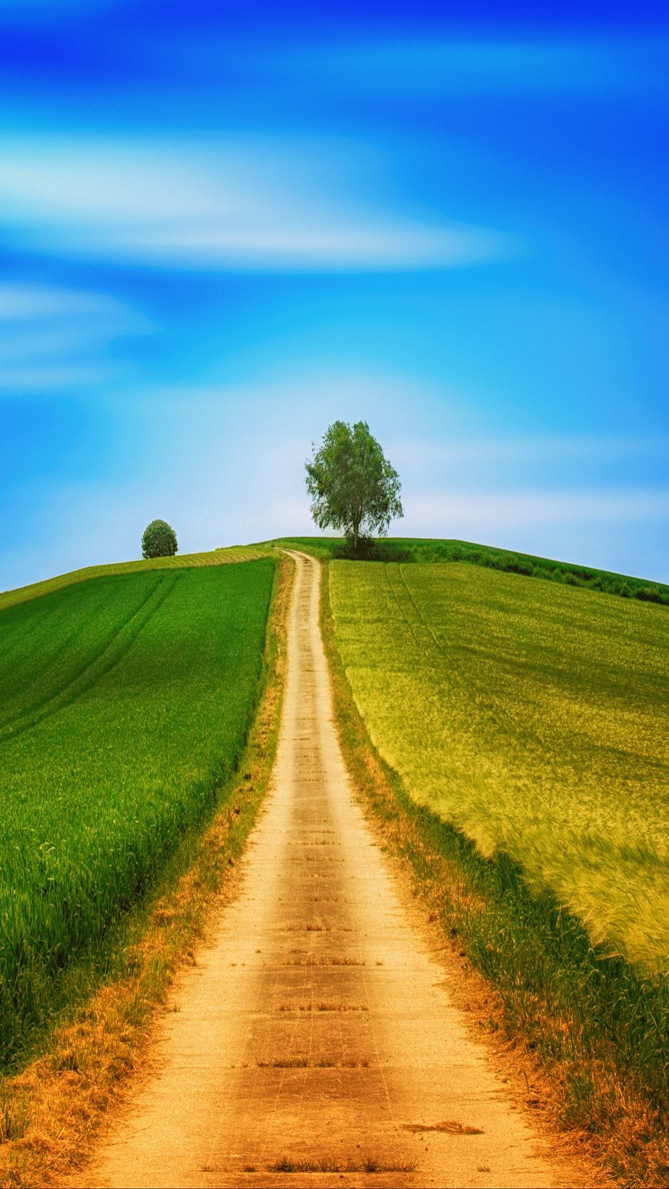 Download Wallpaper 938x1668 Field, Grass, Summer, Road, Sky, Hill Iphone 8 7 6s 6 For Parallax HD Background