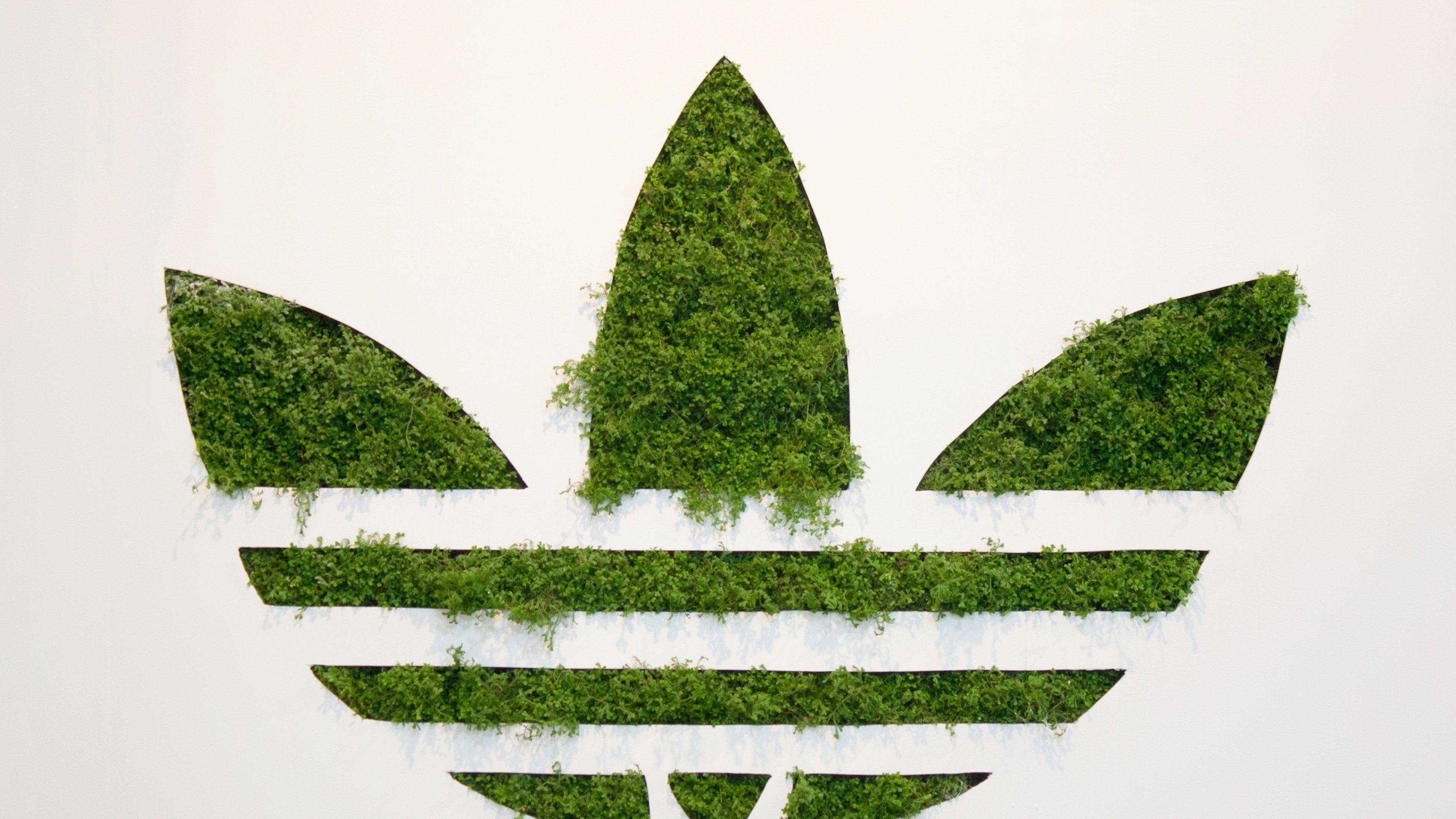 3840x2160 adidas 4k HD desktop background wallpaper. Mocah HD Wallpaper