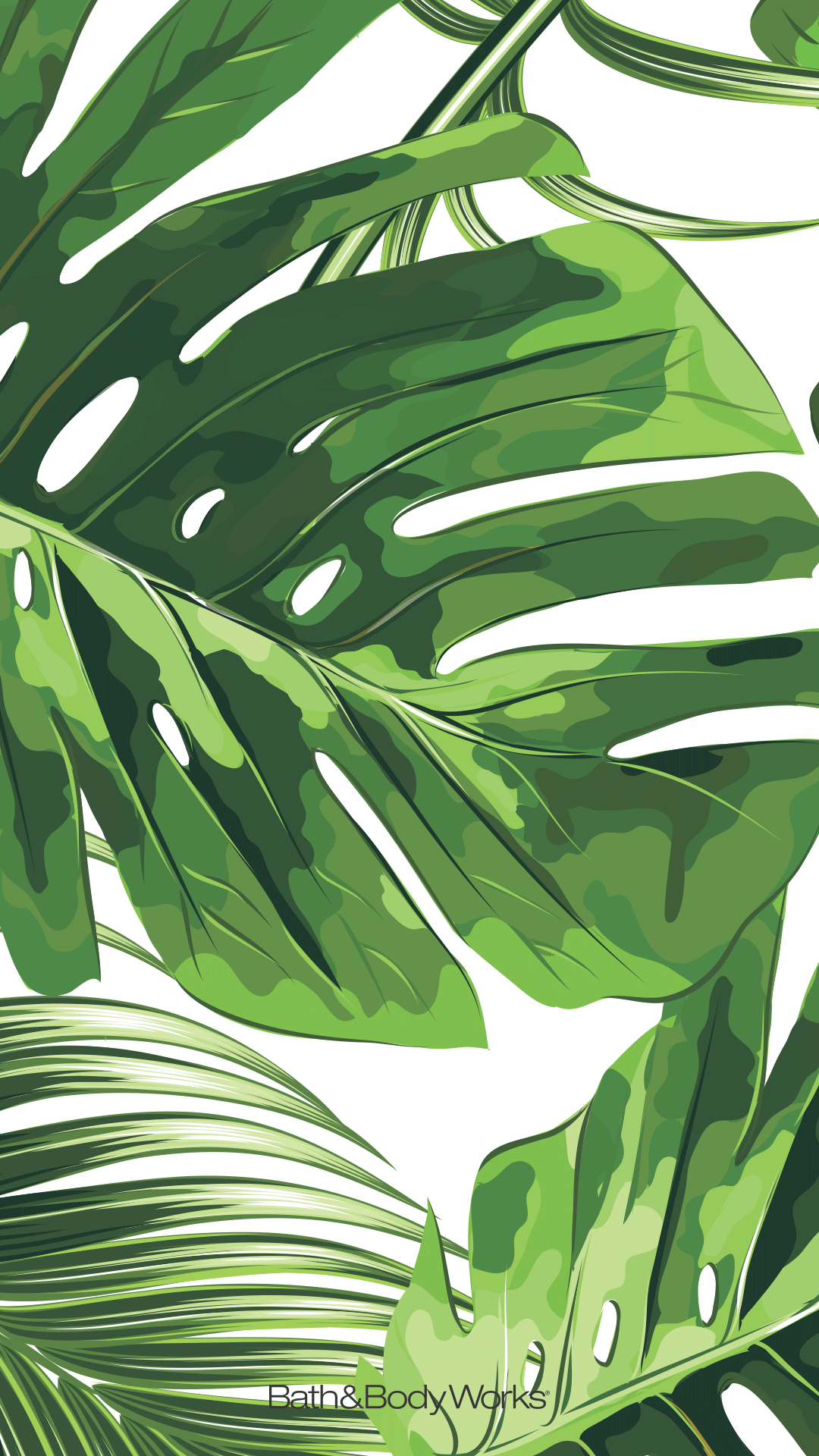 Monstera Leaf Wallpaper Background. Plant wallpaper, Leaf wallpaper, Wallpaper background