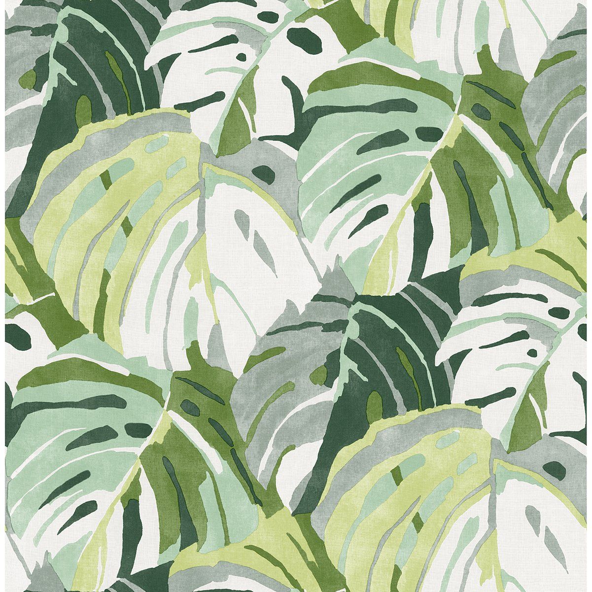 Samara Monstera Leaf Wallpaper in Green from the Pacifica Collection b