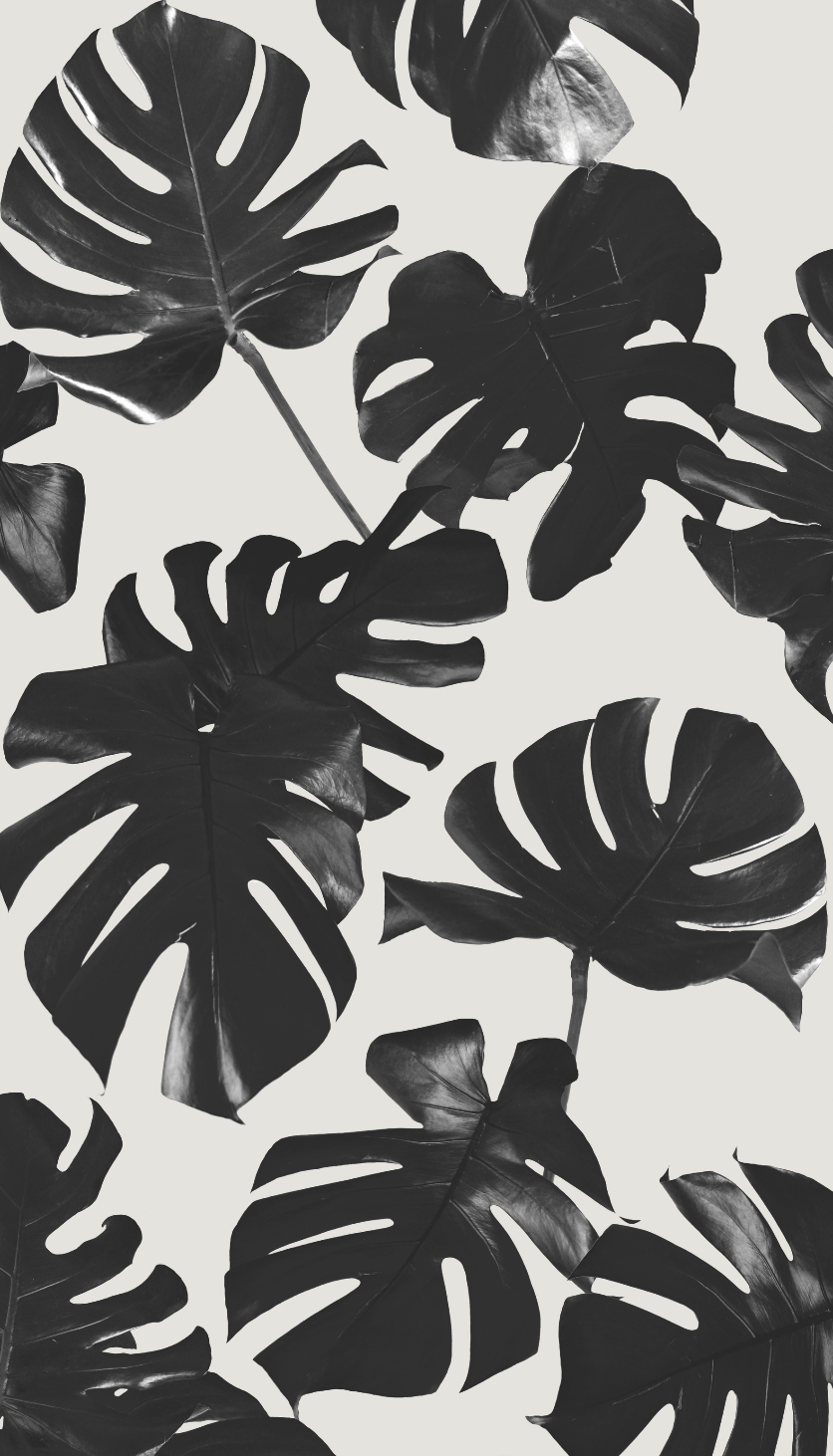 Basic Monstera Leaf Traditional Prepasted Wallpaper