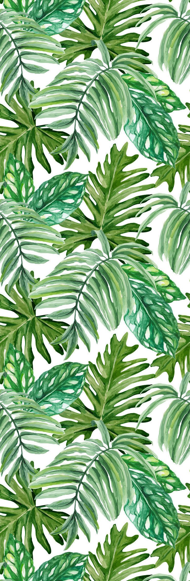 Bay Isle Home Alviso Removable Exotic Monstera Leaves Rainforest 6.25' L x 25 W Peel and Stick Wallpaper Roll