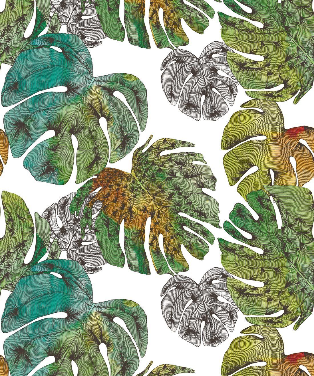 Monstera Wallpaper, Fill your walls with a lush tropical vibe