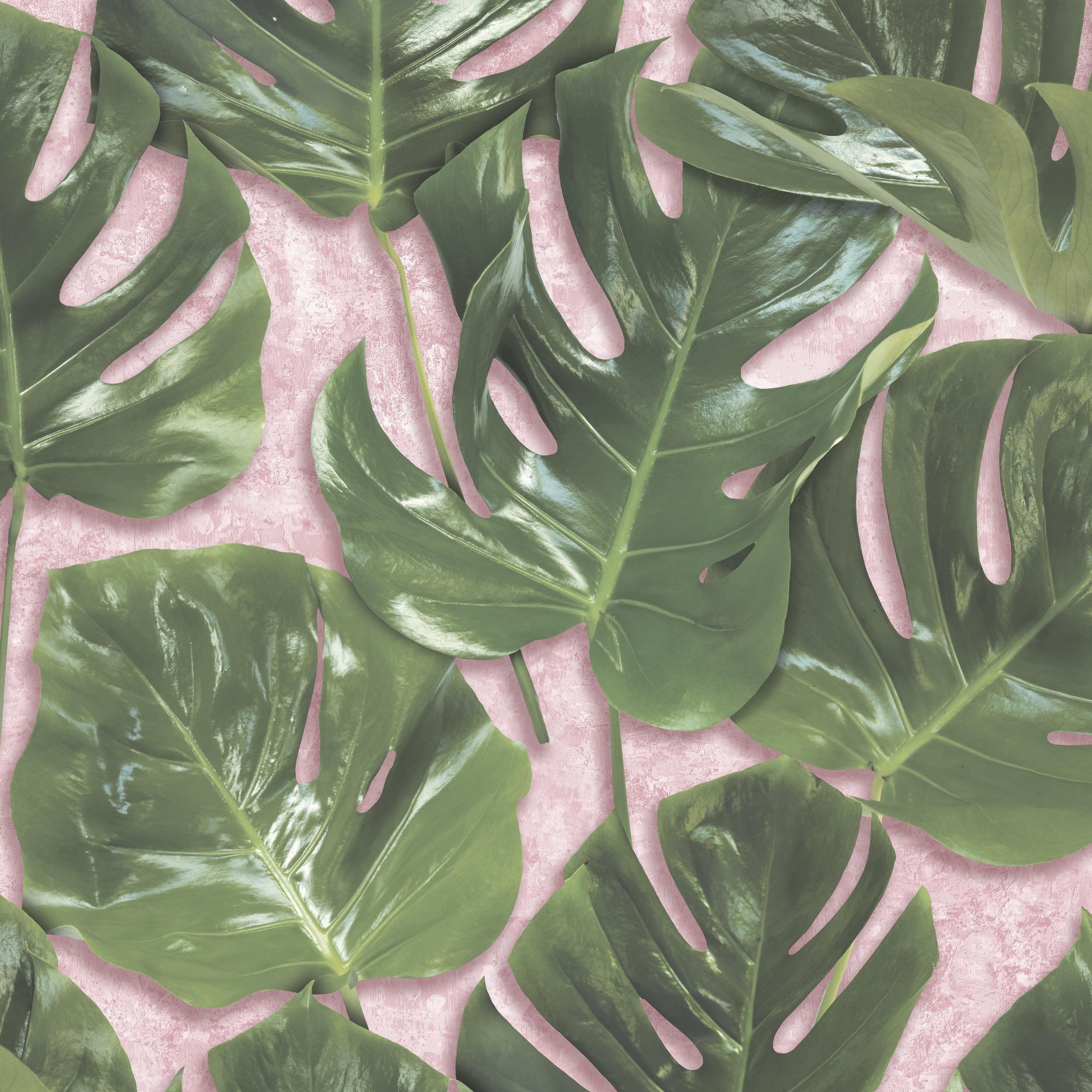 Monstera Leaf Wallpaper Sample