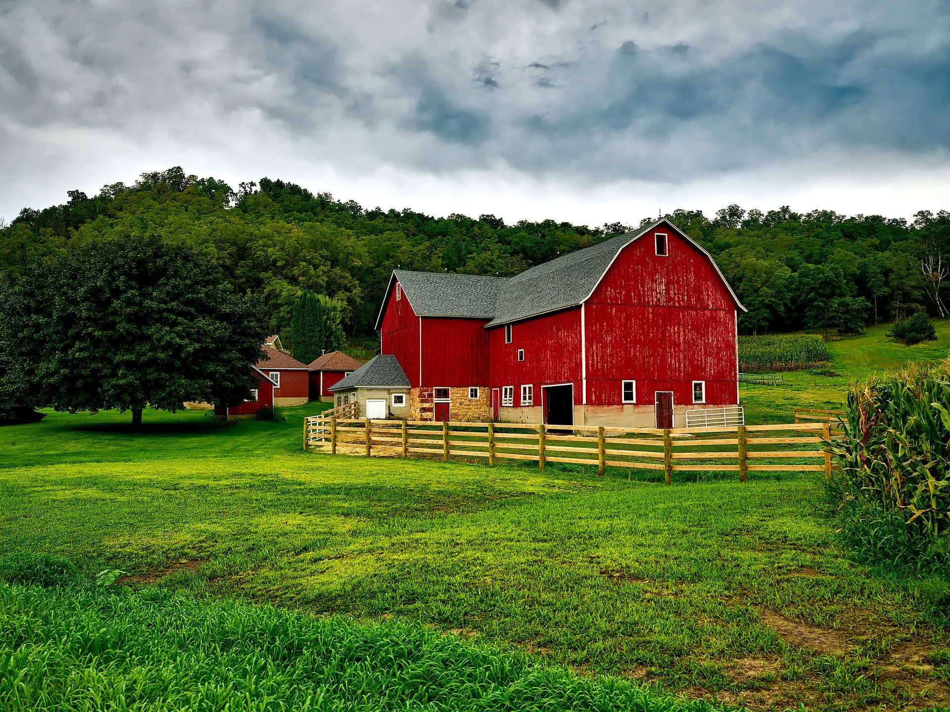 Farm Barn Wallpaper