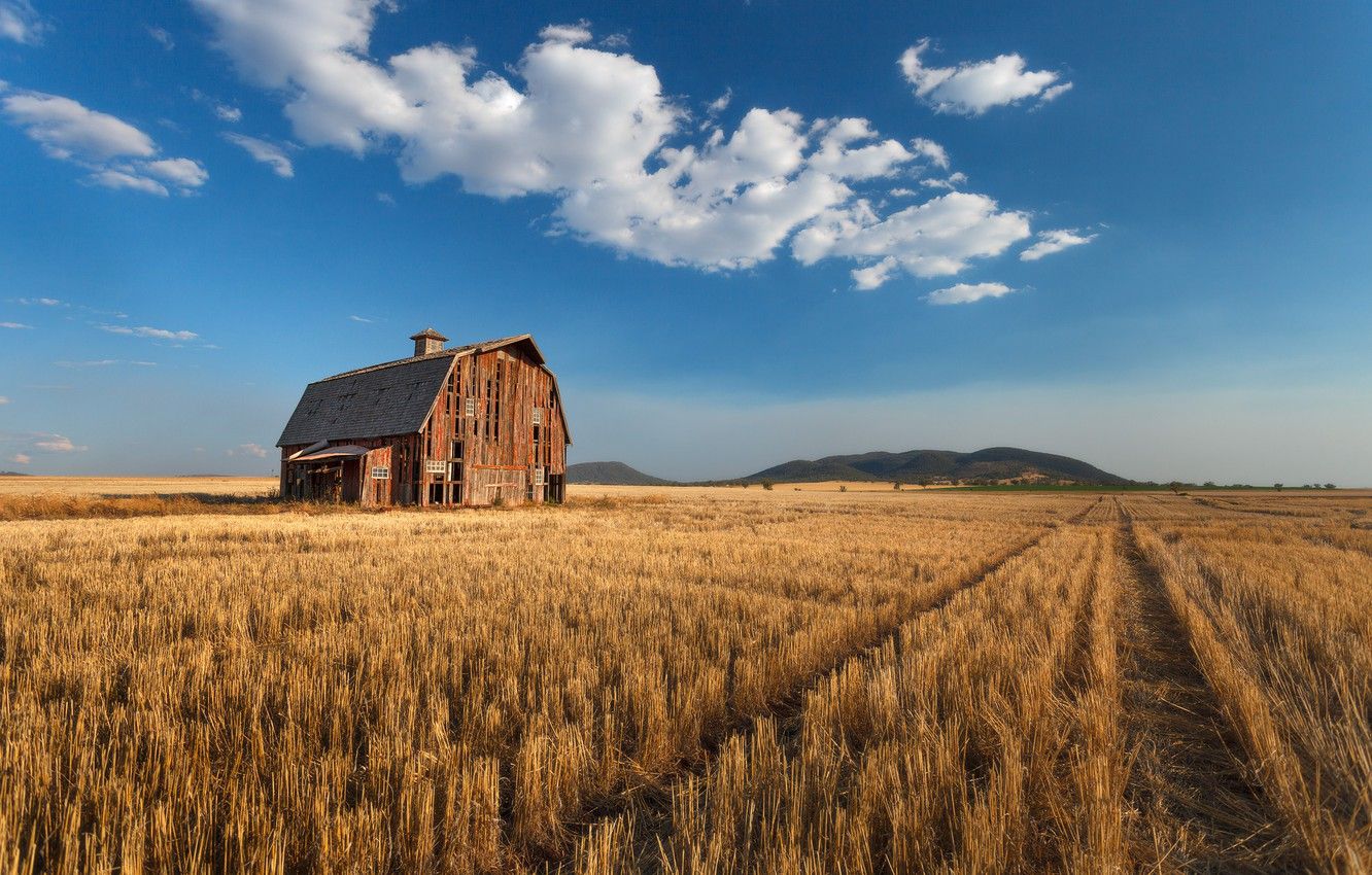 Wallpaper hills, horizon, the barn, hills, horizon, barn, farm, farm image for desktop, section пейзажи