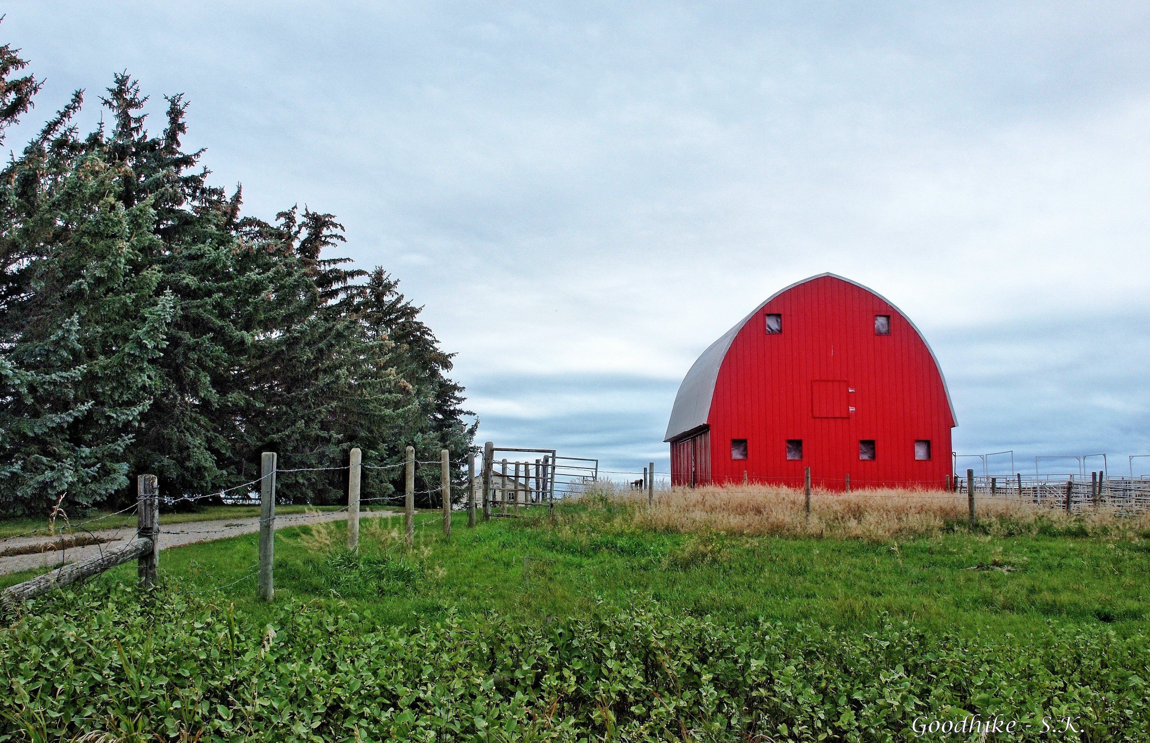 Wallpaper, farm, barn, red, redbarn, Alberta, Canada, landscape, window, windows, fence, ab 3891x2514