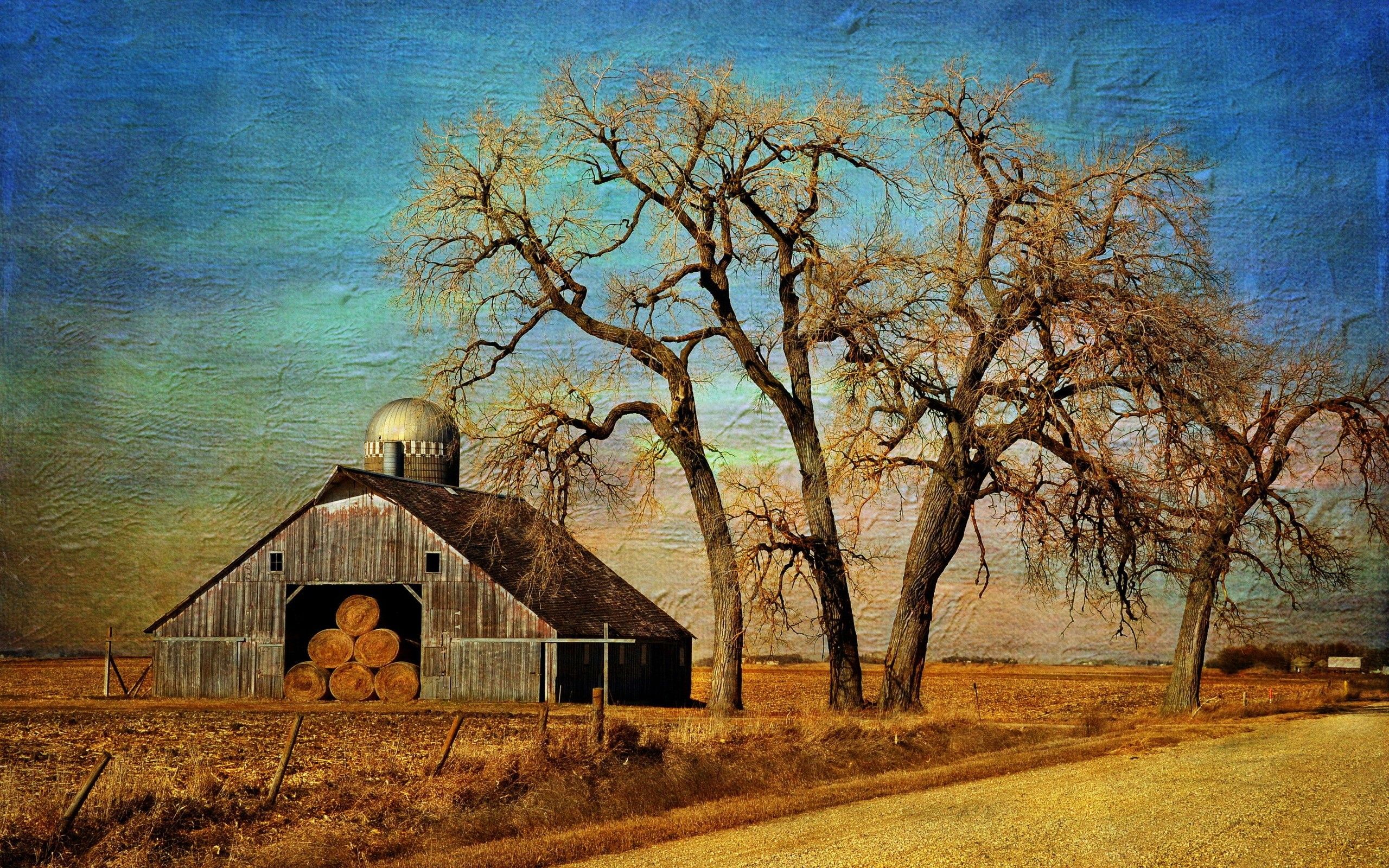 Farm Barn Tree wallpaperx1600
