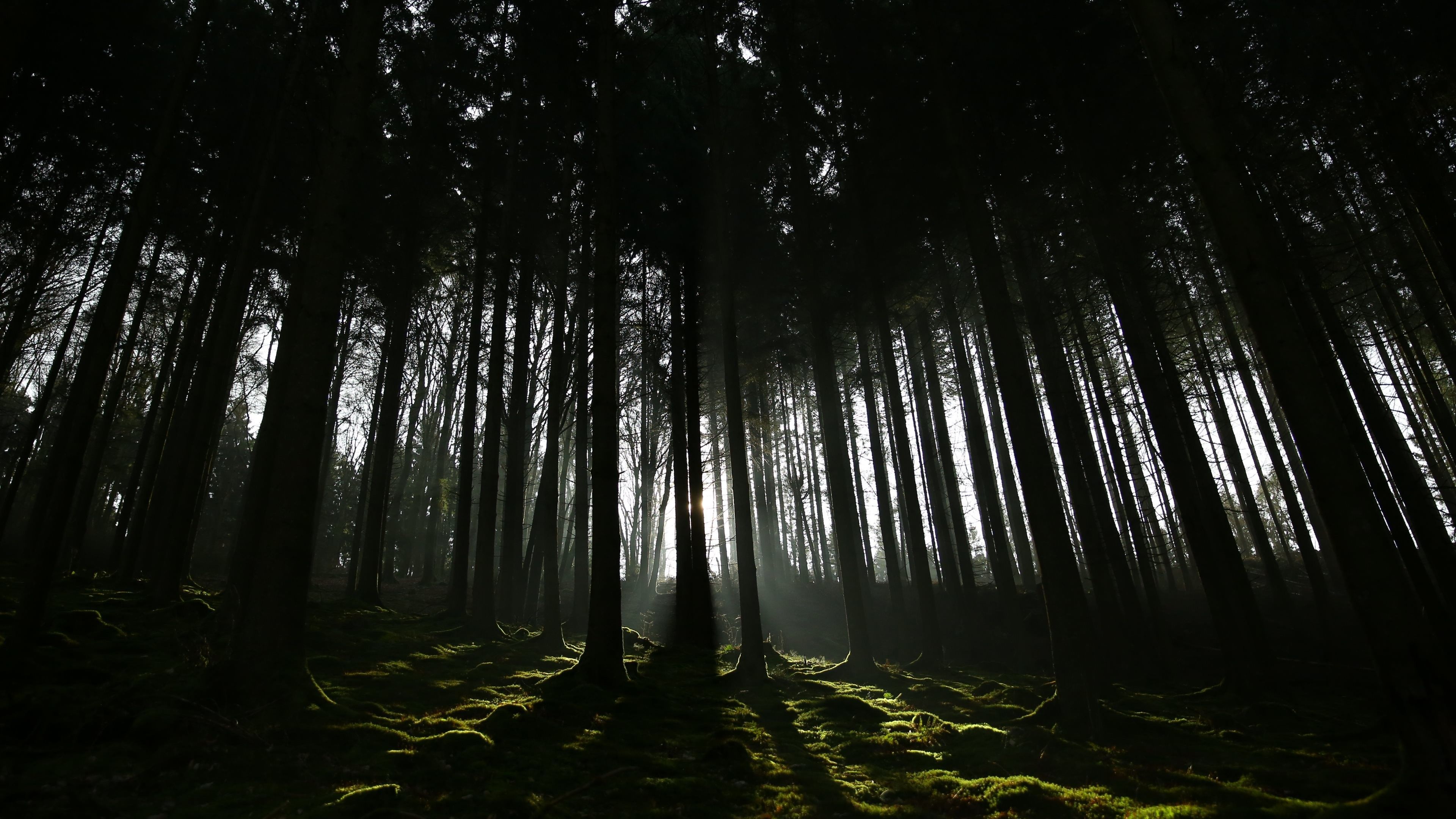 Black Nature 4k Wallpapers Wallpaper Cave Black Nature 4k Wallpapers Wallpaper Cave