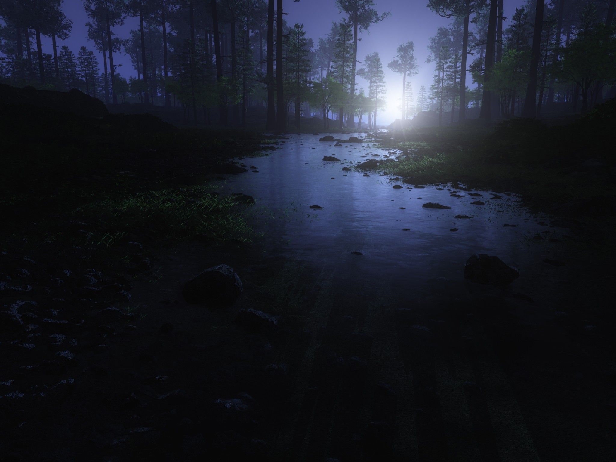 Dark Forest 4K Wallpaper, Water Stream, Trees, Landscape, Woods, Night time, Nature