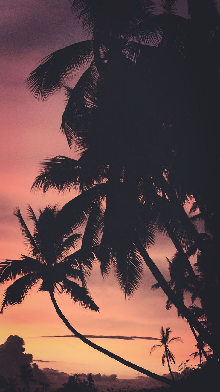 Summer Ocean Sunset iPhone Wallpaper Download it