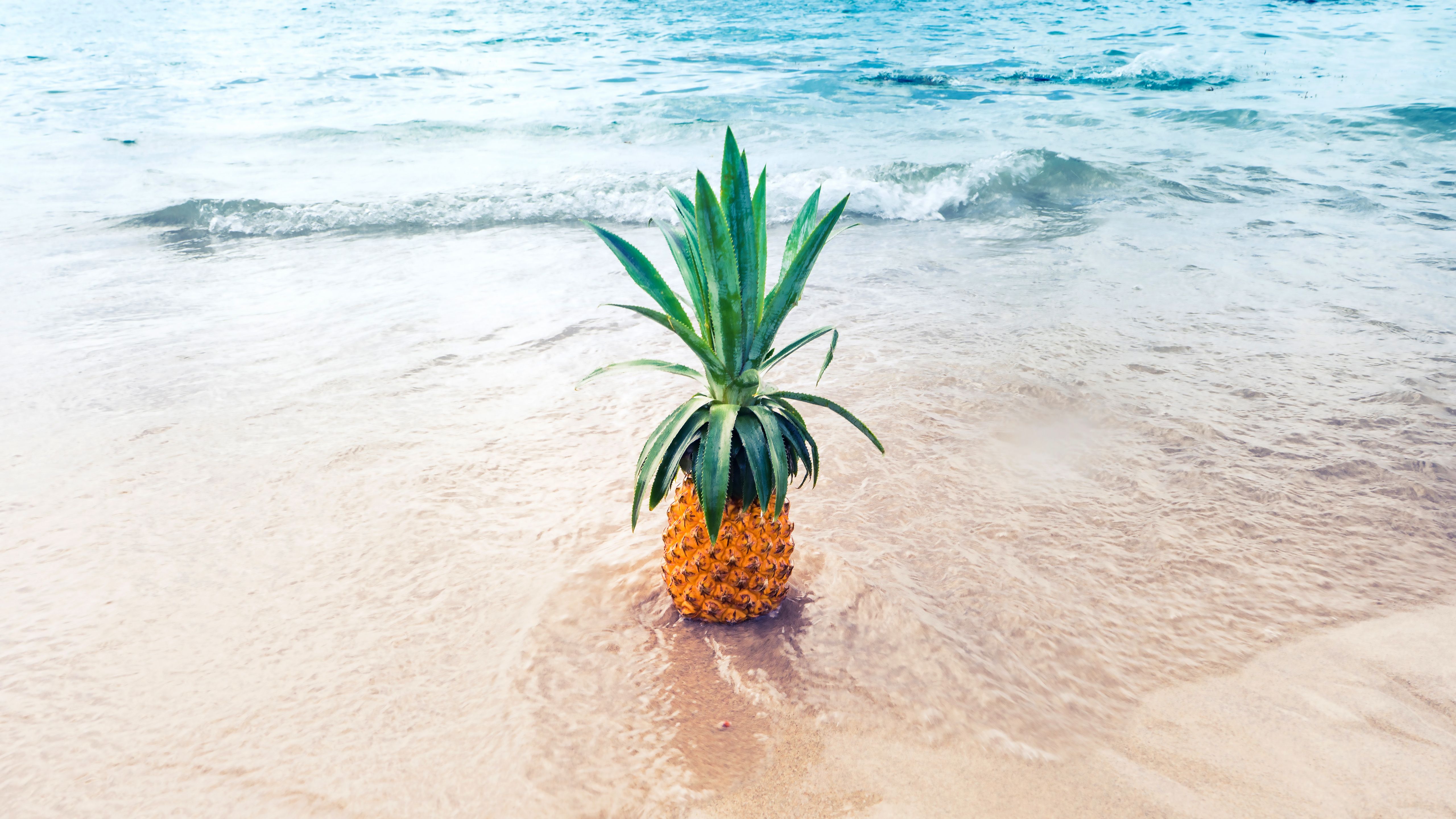 Summer Pineapple Ultra HD 5K Wallpaper