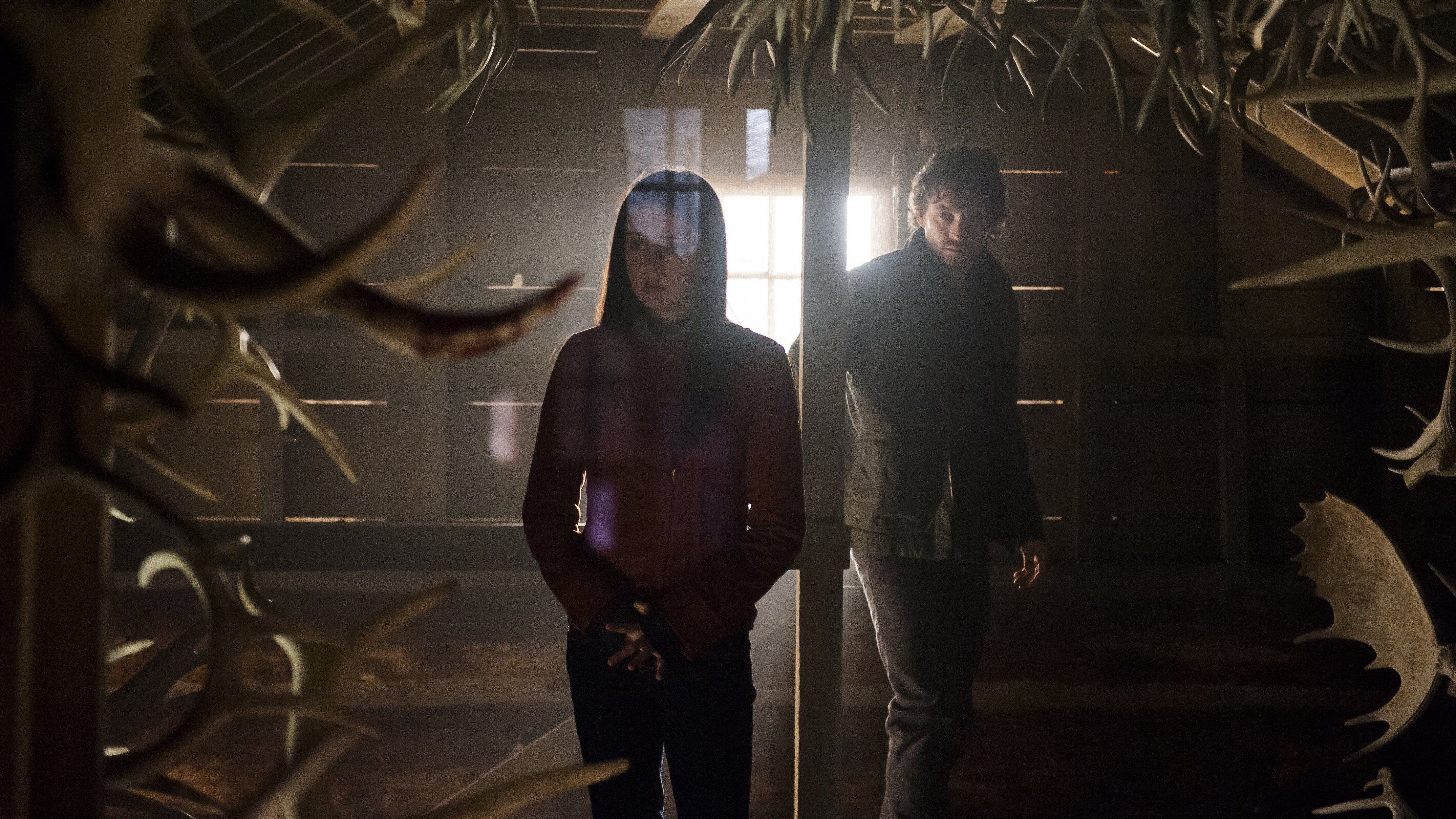 hannibal 4k ultra HD wallpaper High quality walls