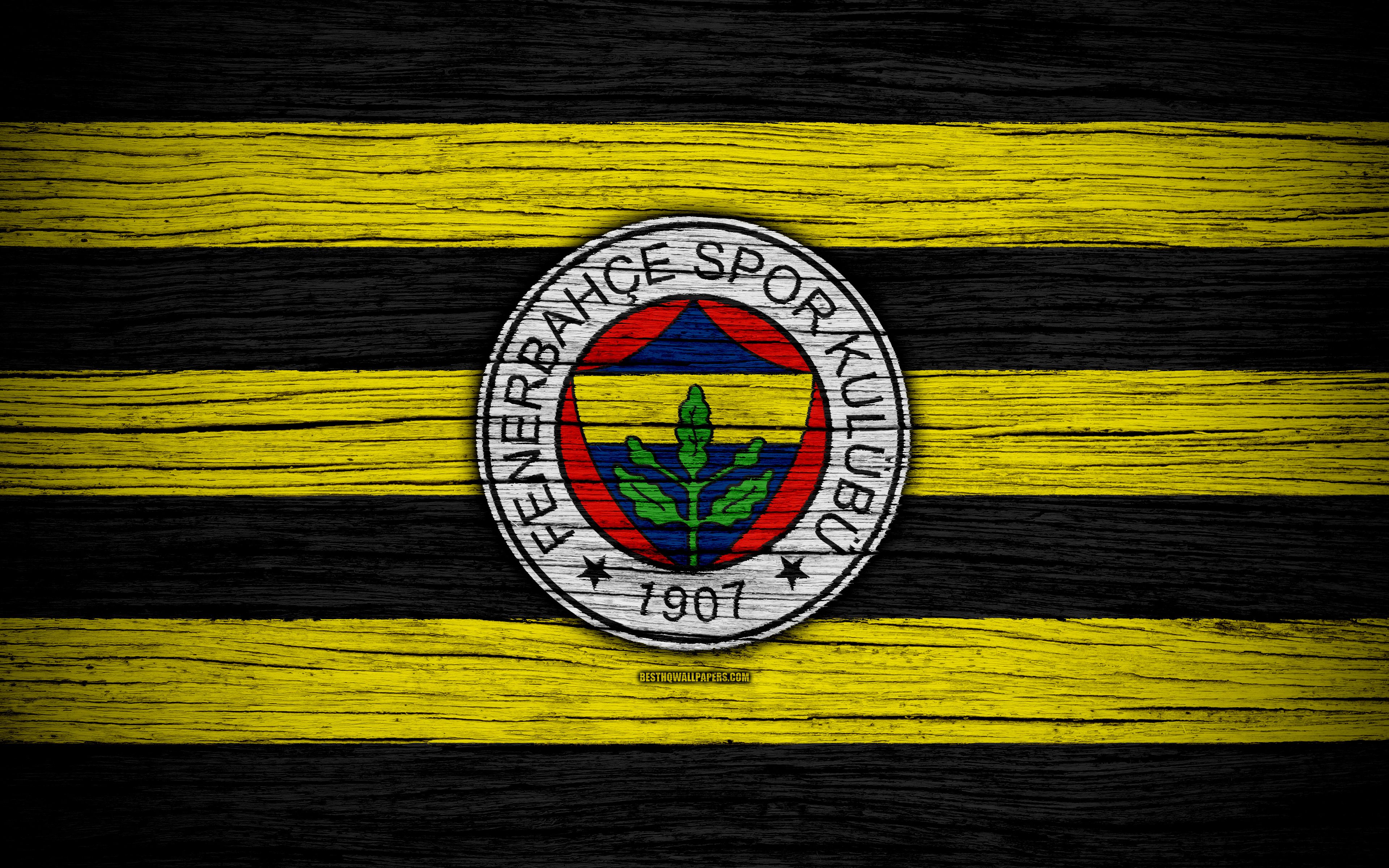 Download wallpaper Fenerbahce, 4k, Turkey, wooden texture, Super Lig, soccer, football club, FC Fenerbahce, art, football, FenerbahceFC for desktop with resolution 3840x2400. High Quality HD picture wallpaper